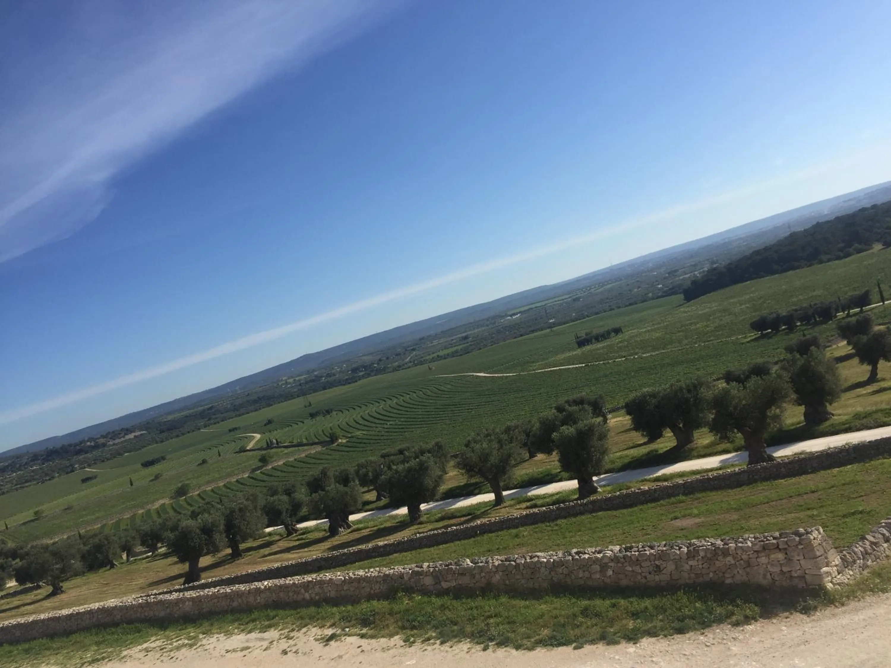 Natural landscape in Masseria Amastuola Wine Resort