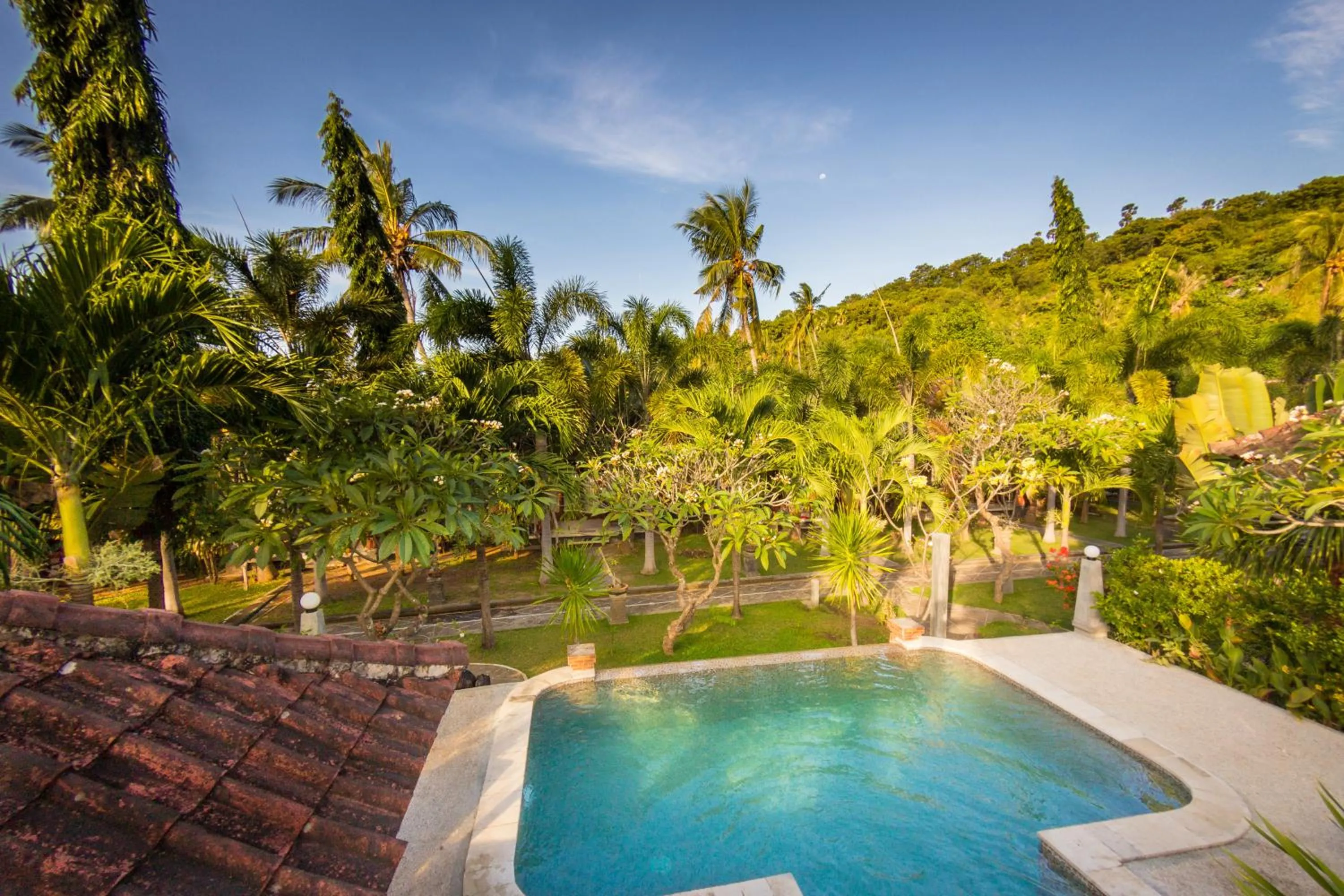 Garden view in Oasis