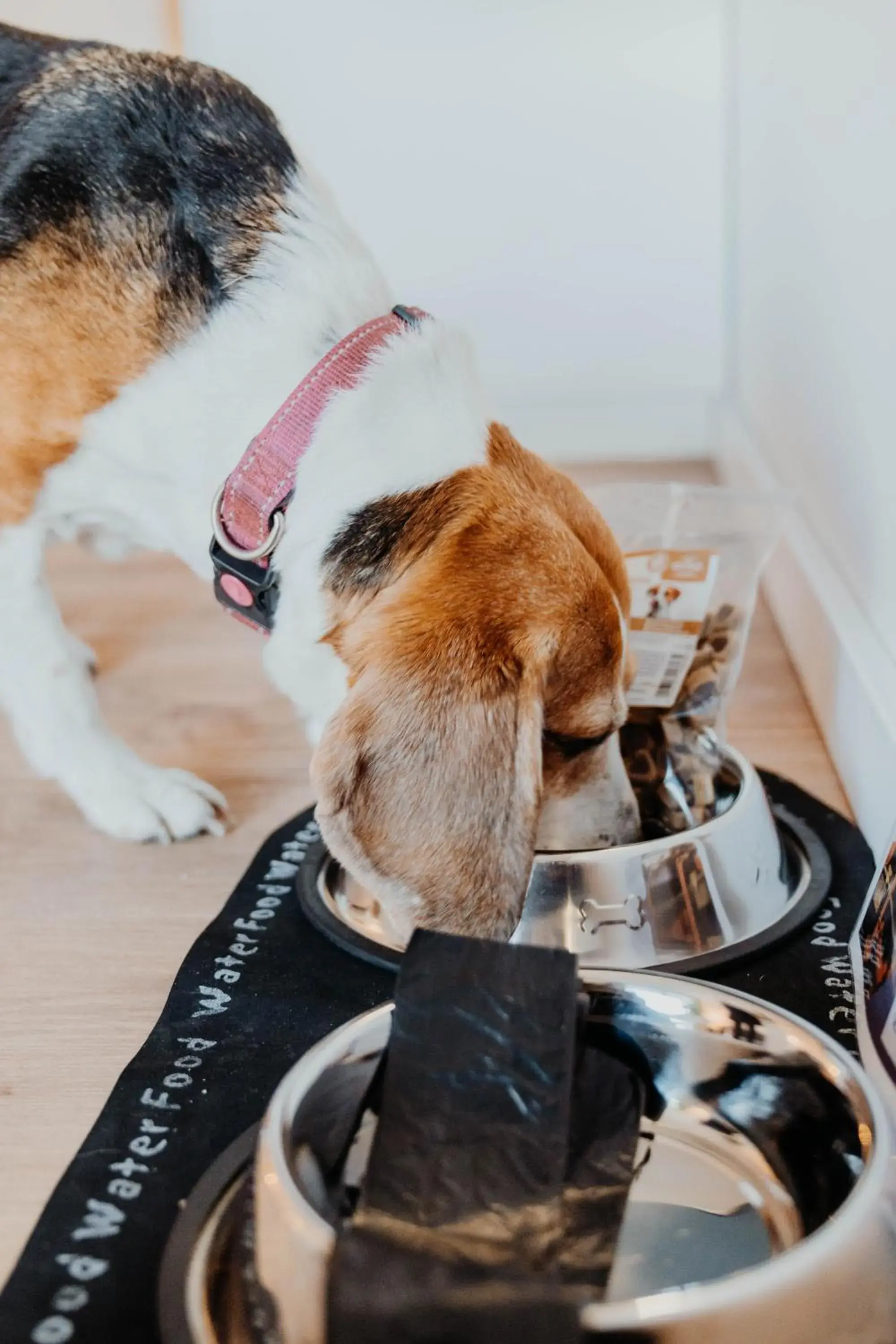 Property building in Sonnenresort Ettershaus Property building in Sonnenresort Ettershaus