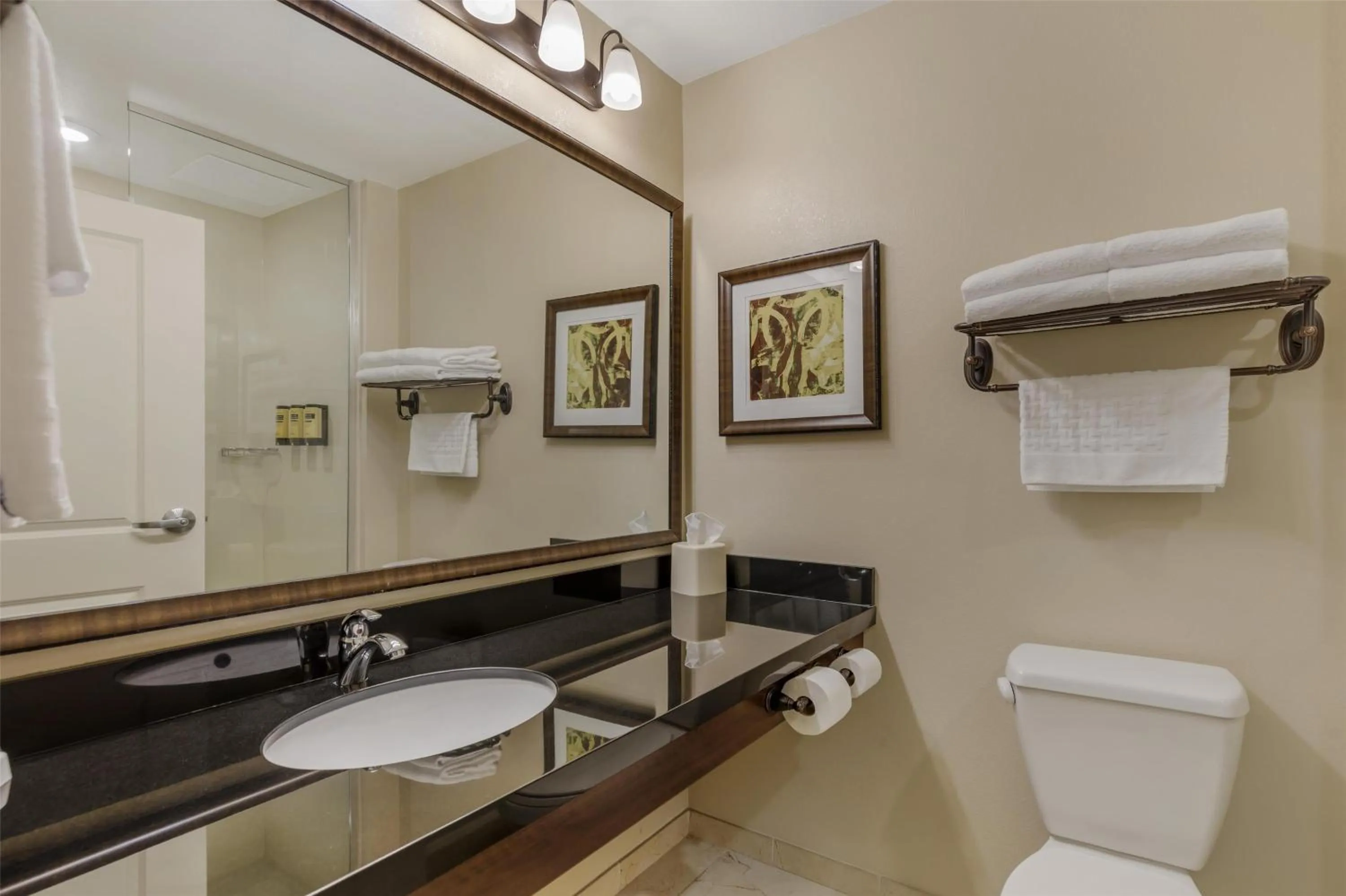 Bathroom in Best Western Plus Hudson Hotel & Suites