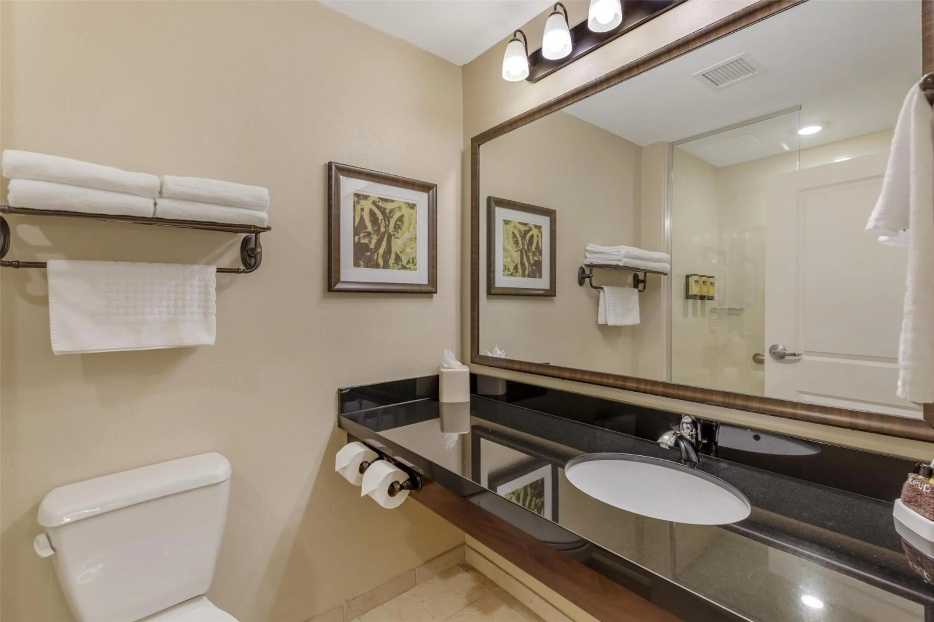 Bathroom in Best Western Plus Hudson Hotel & Suites