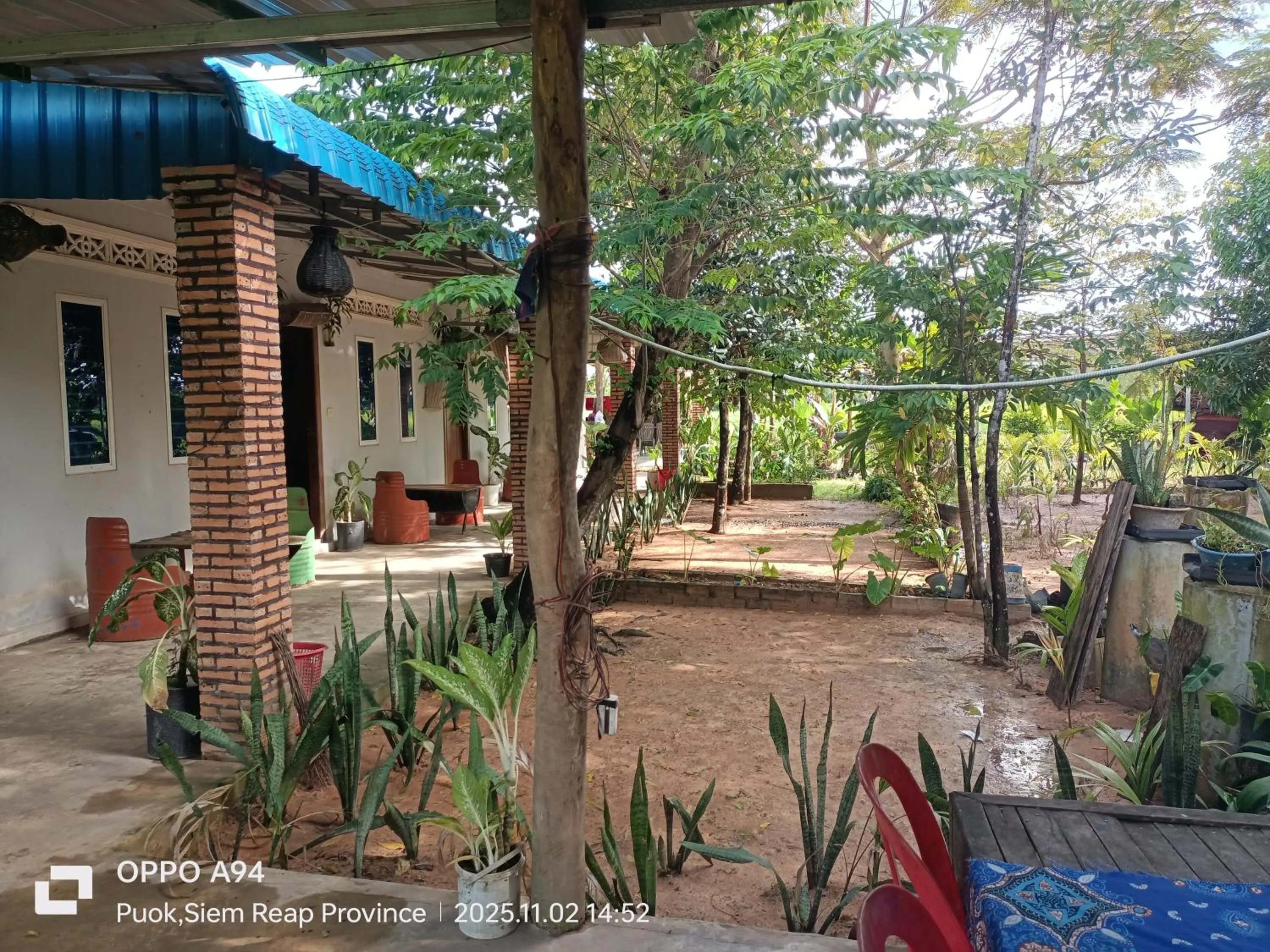 Phonluer Angkor Homestay SiemReap - Local Vibe