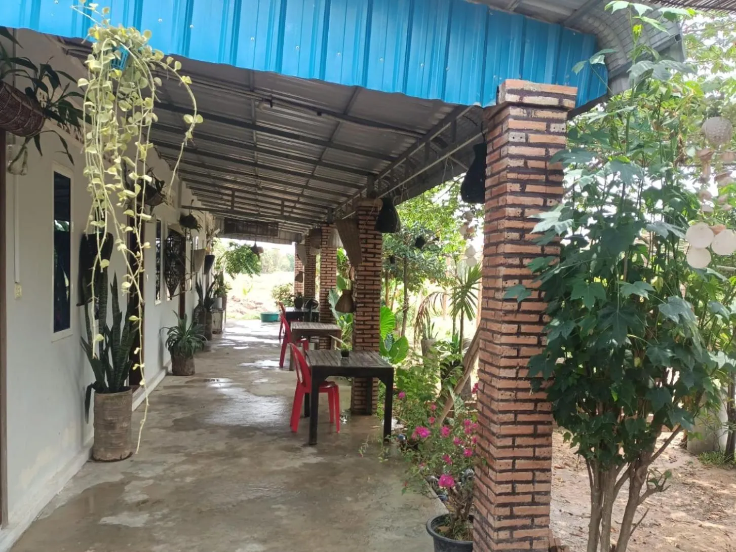 Garden in Phonluer Angkor Homestay SiemReap - Local Vibe