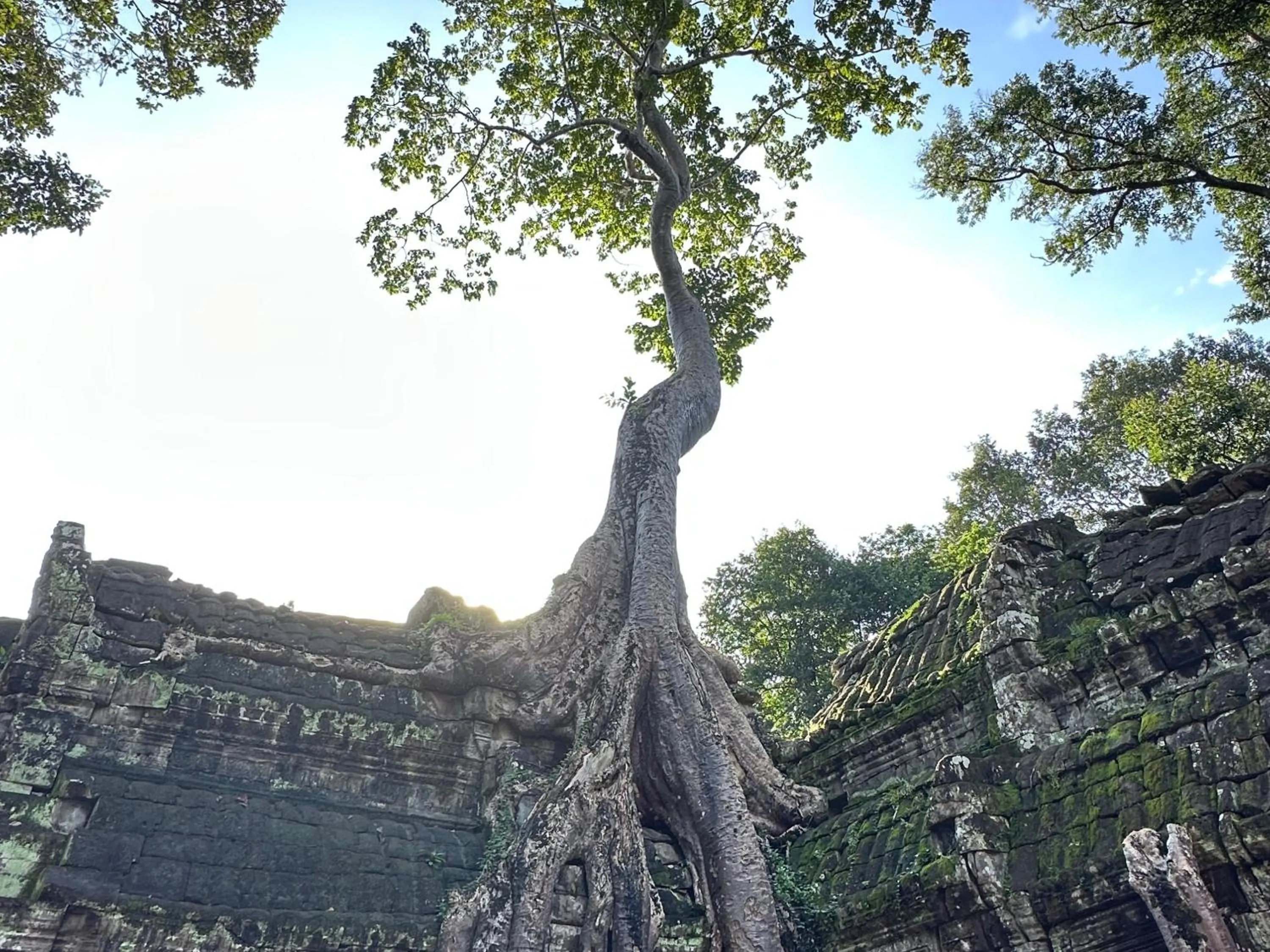 Phonluer Angkor Homestay SiemReap - Local Vibe