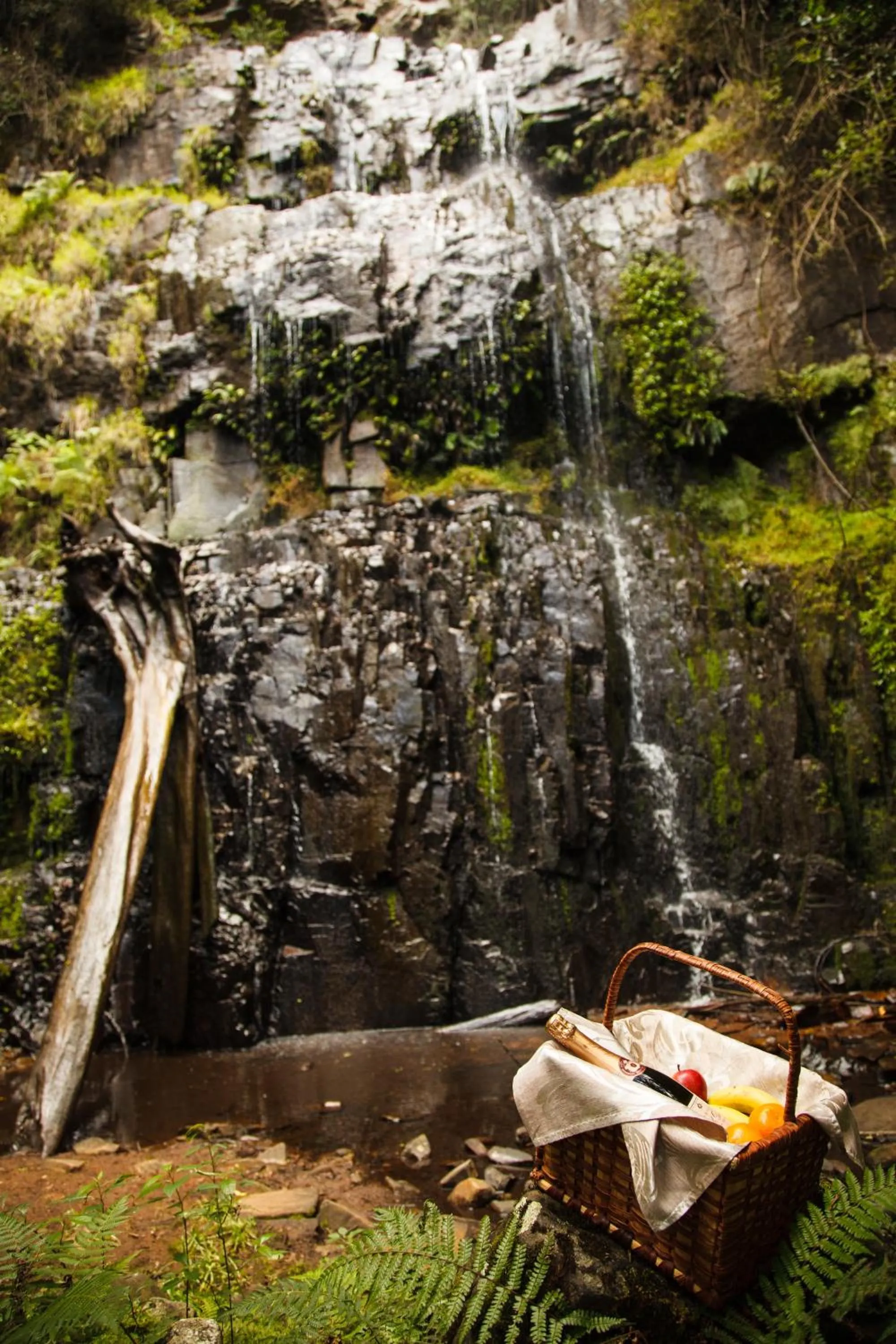 Natural landscape in Mount Sheba Rainforest Hotel - Mountain Spring Water