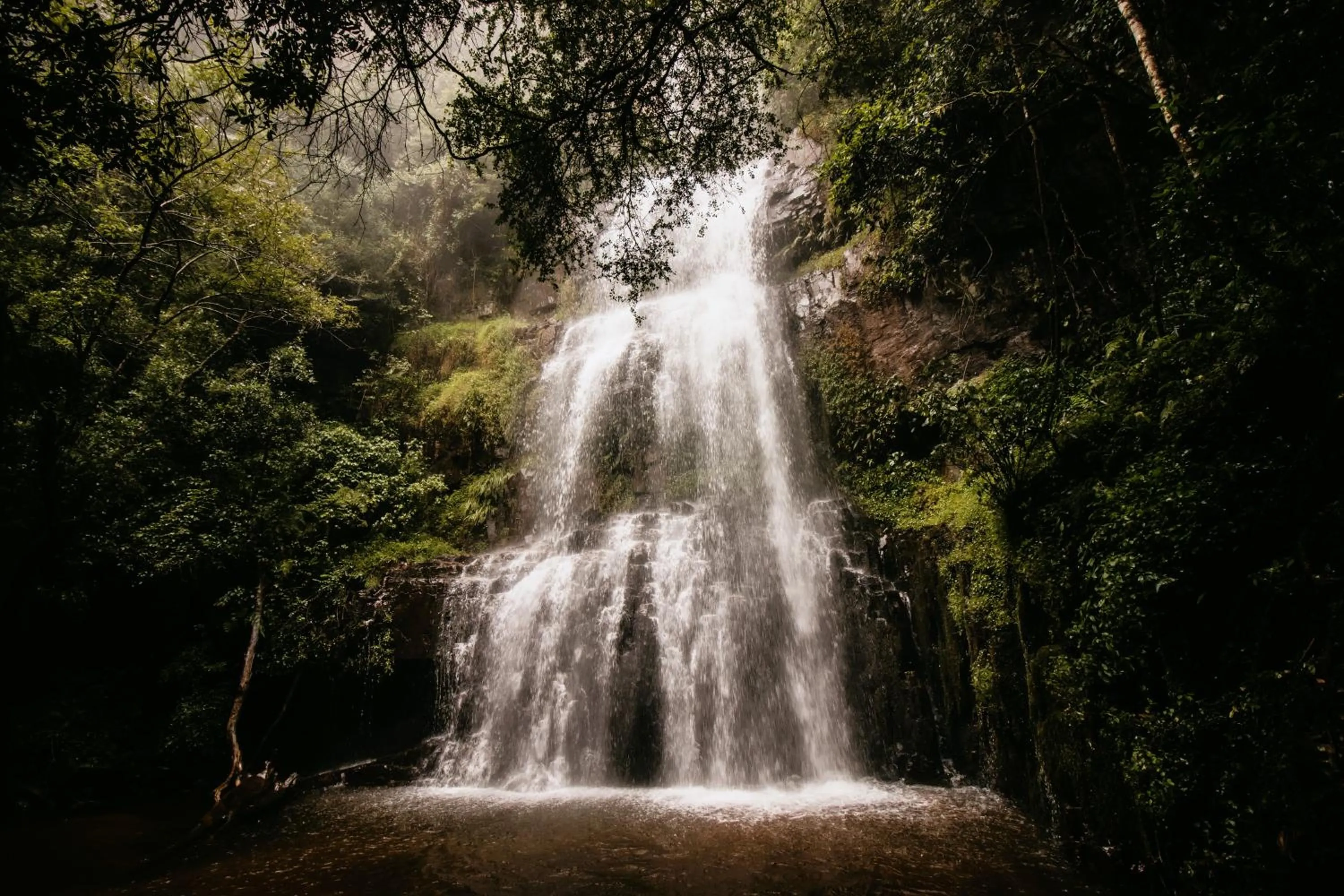 Day in Mount Sheba Rainforest Hotel - Mountain Spring Water