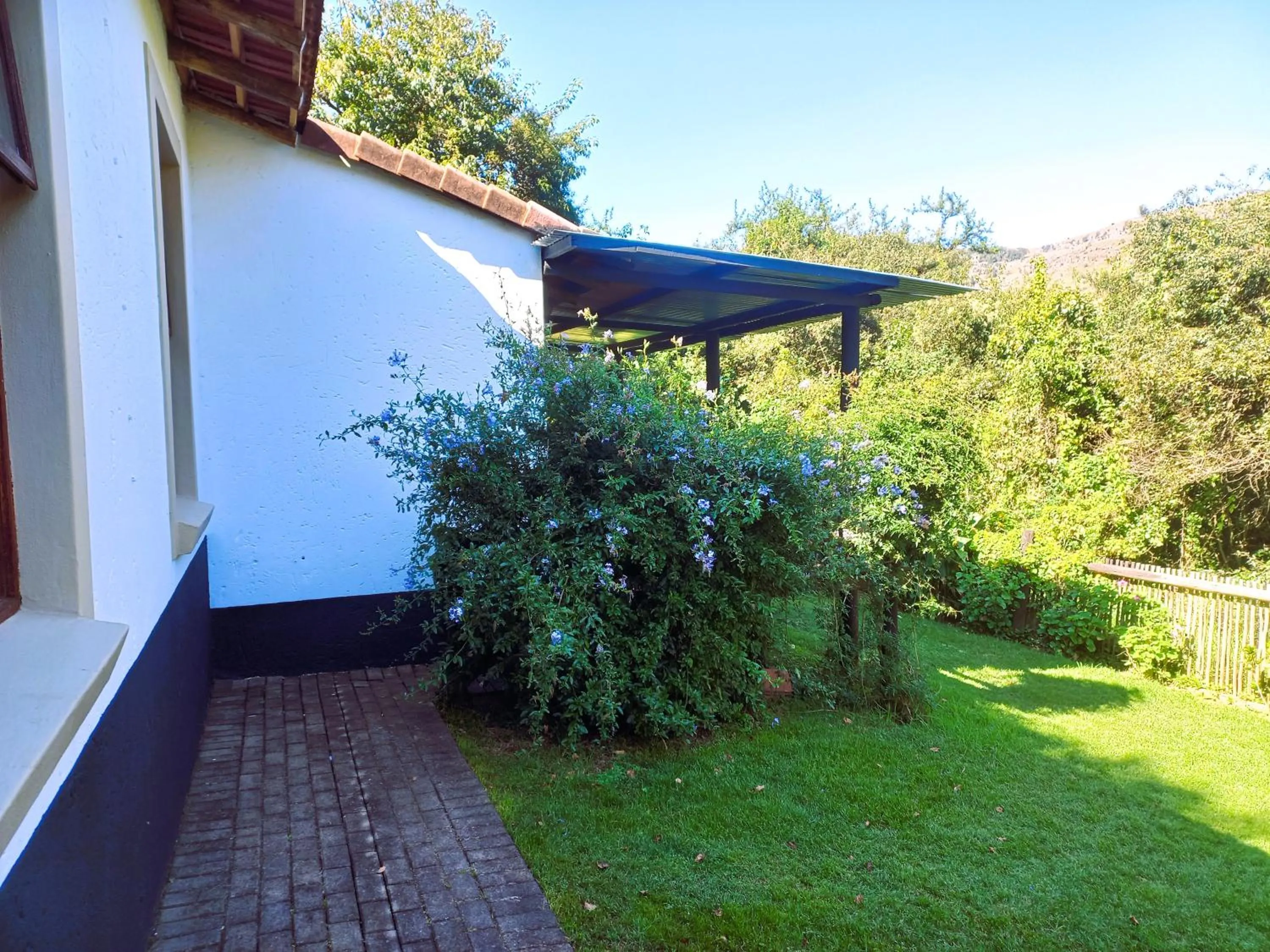 Garden view in Mount Sheba Rainforest Hotel - Mountain Spring Water