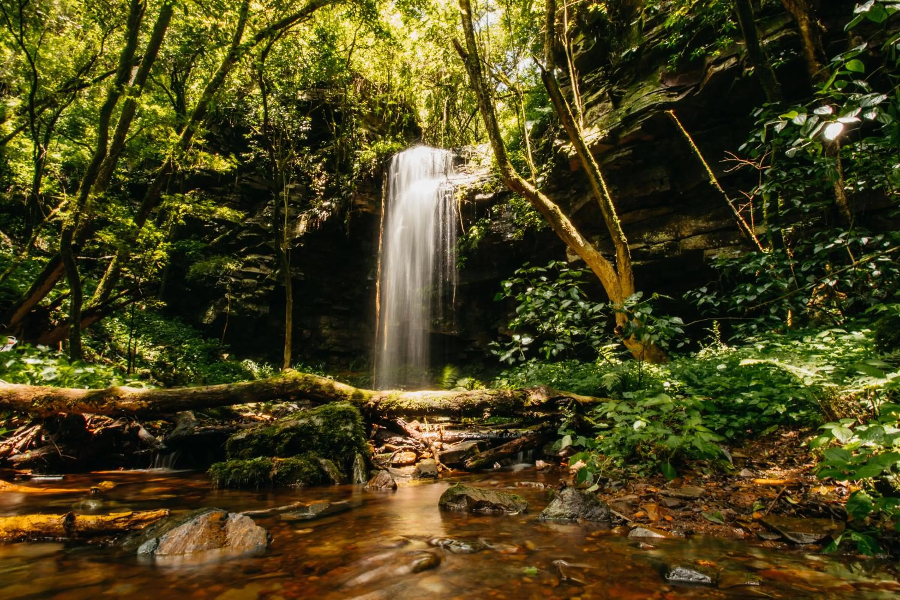 Natural landscape in Mount Sheba Rainforest Hotel - Mountain Spring Water