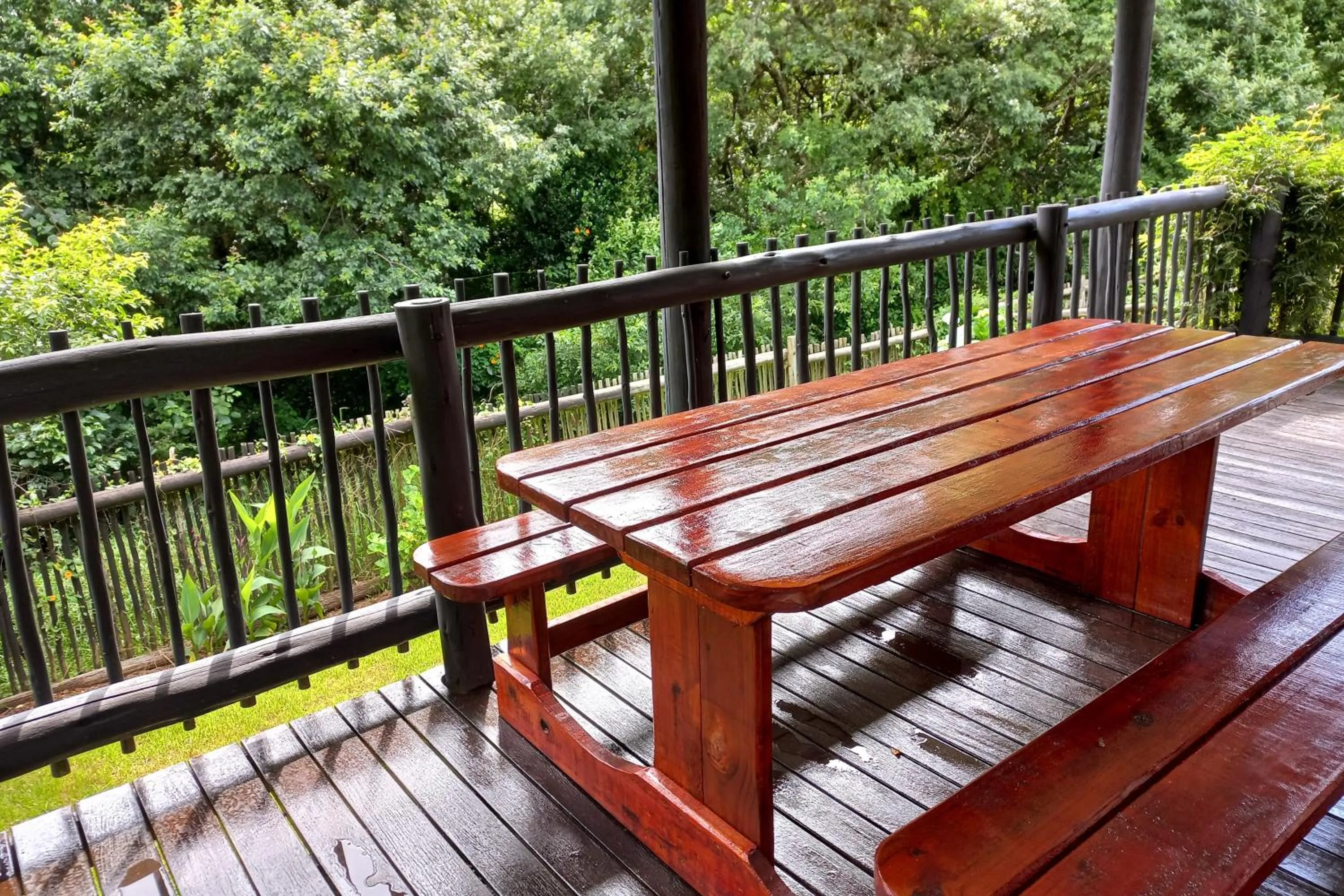 Garden in Mount Sheba Rainforest Hotel - Mountain Spring Water