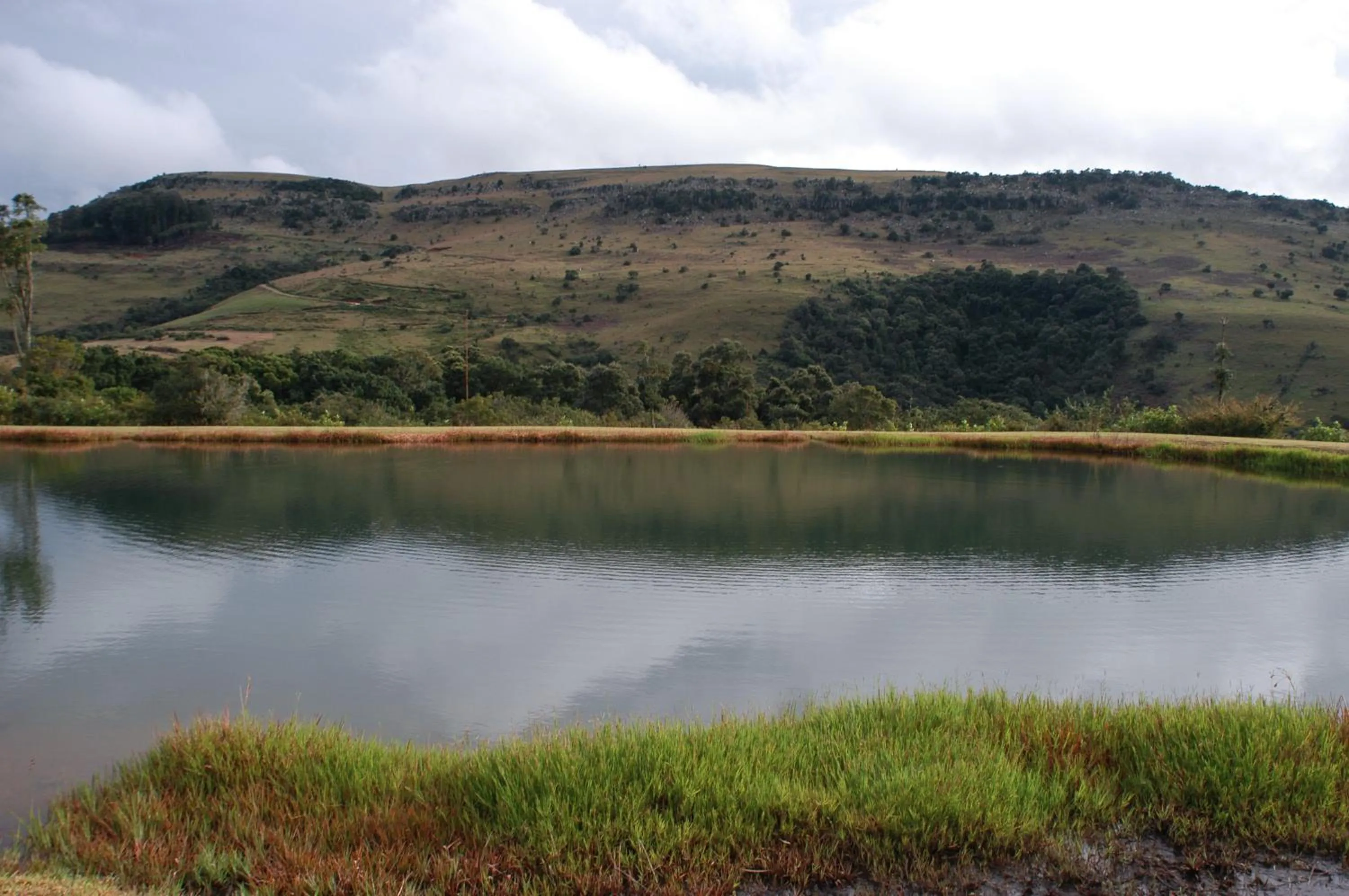 Day in Mount Sheba Rainforest Hotel - Mountain Spring Water