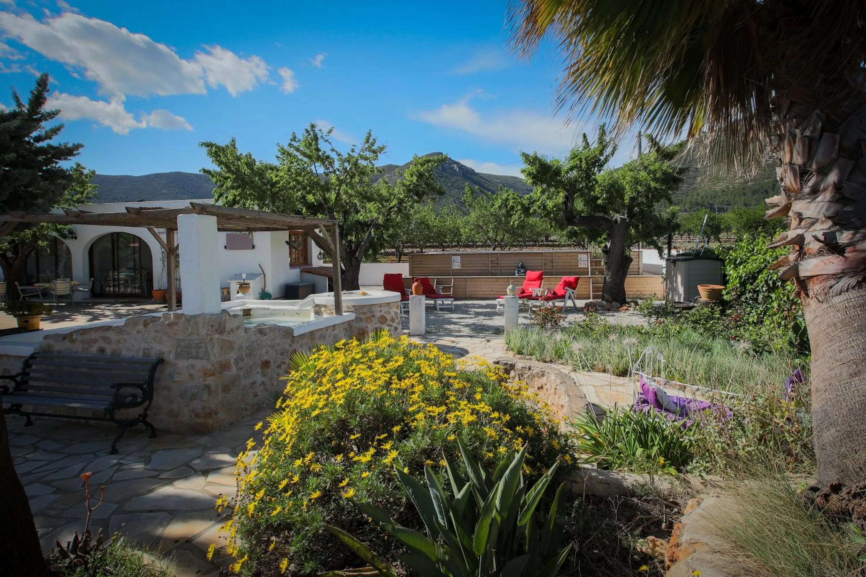 Garden view in Buena Idea - Adults Only