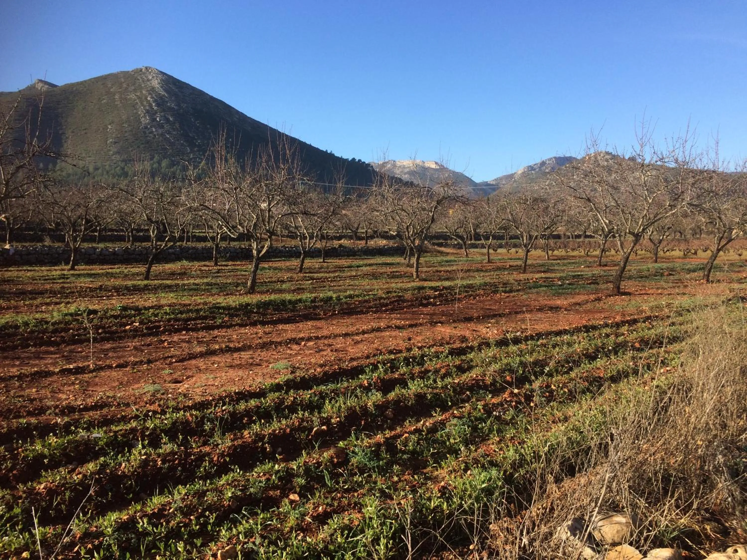 Natural landscape in Buena Idea - Adults Only