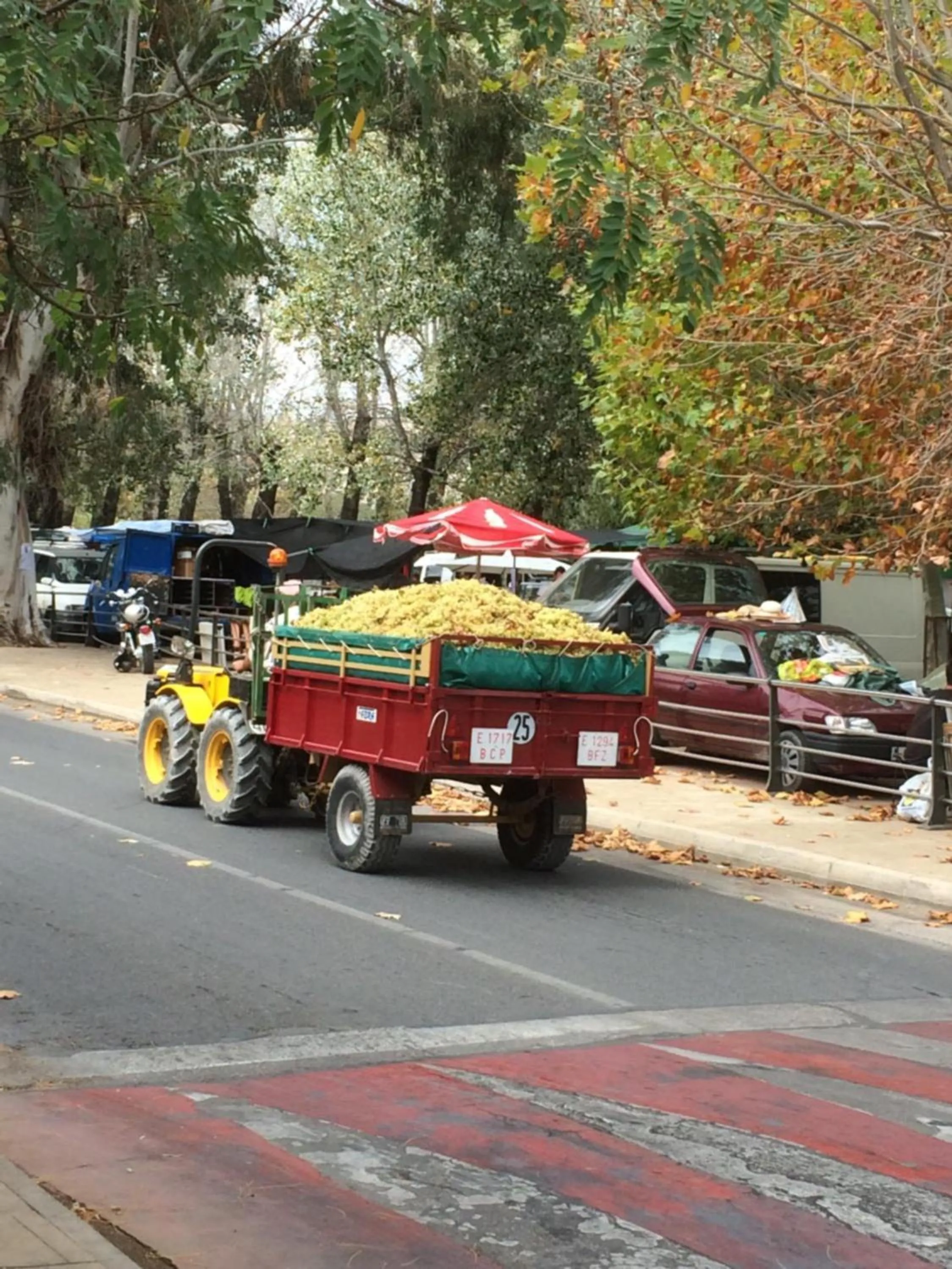 Natural landscape in Buena Idea - Adults Only