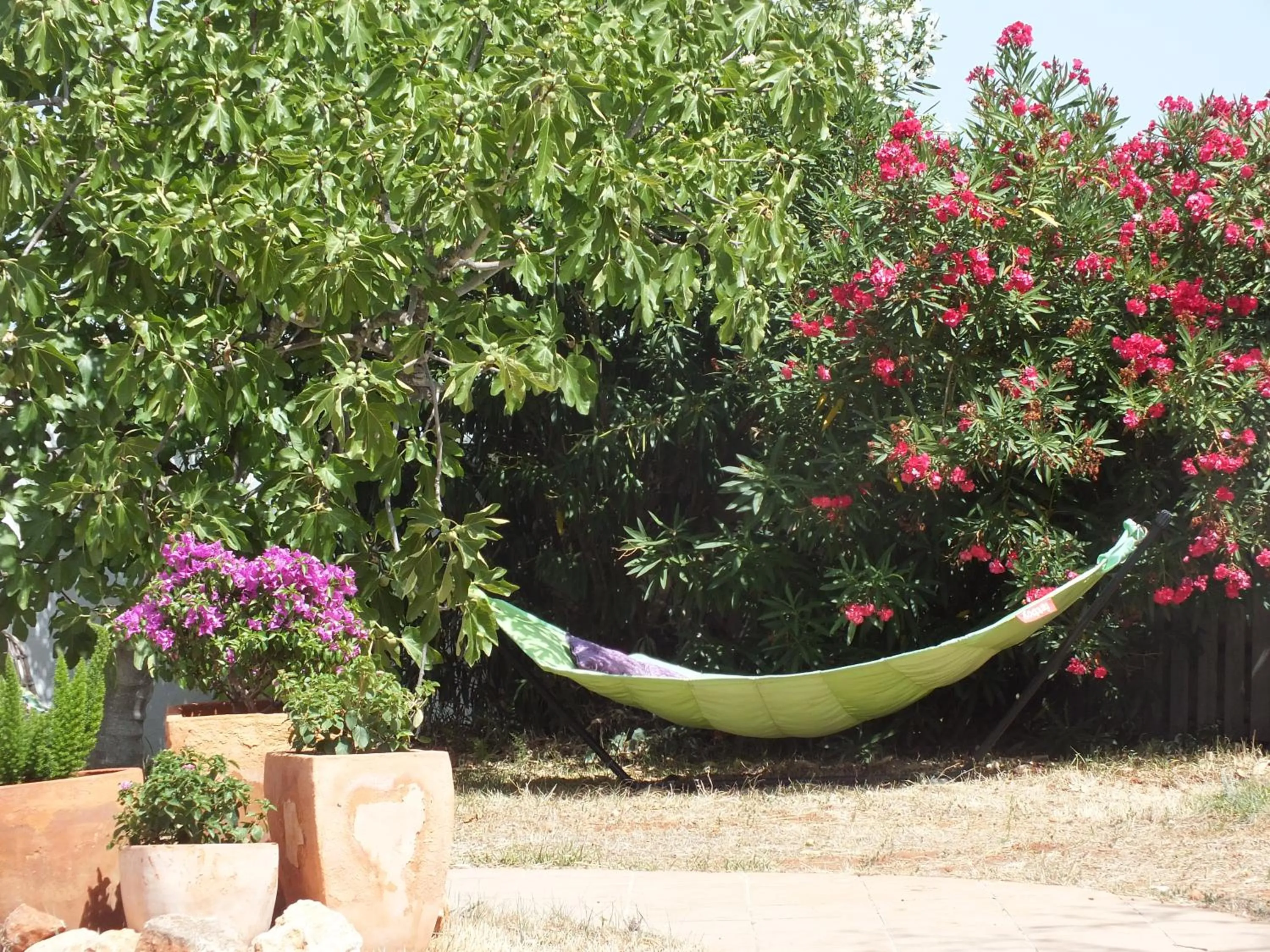 Garden in Buena Idea - Adults Only