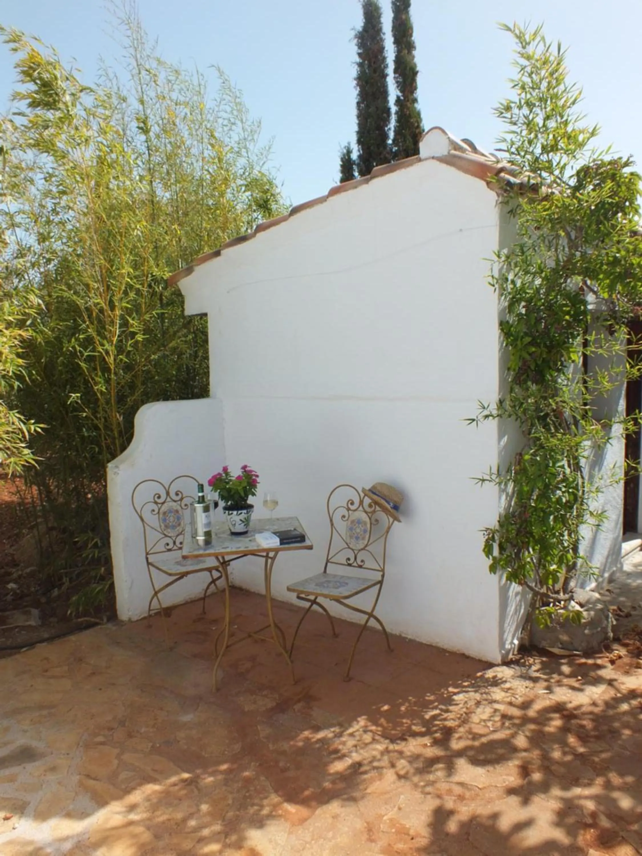 Garden in Buena Idea - Adults Only