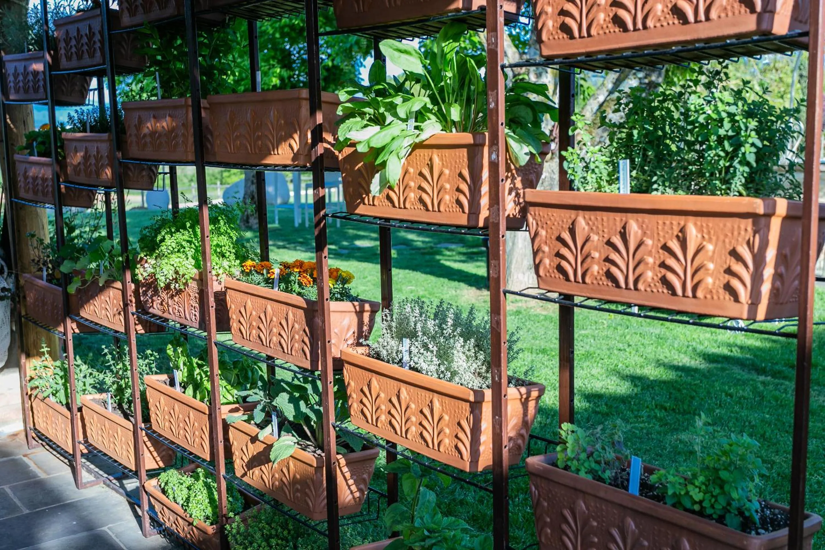Patio in Tenuta Le Tre Virtù