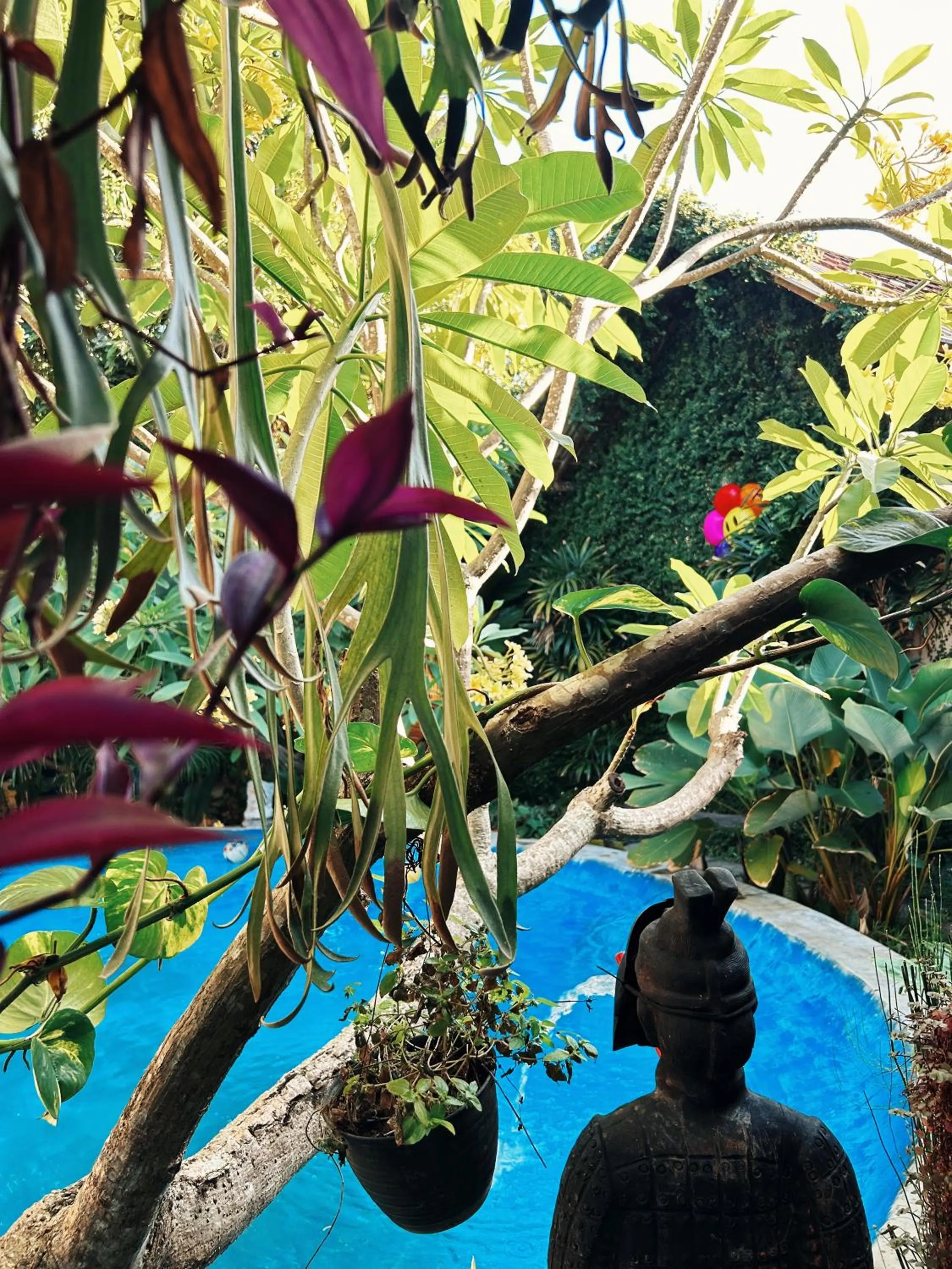 Garden in Losmanos Hostel