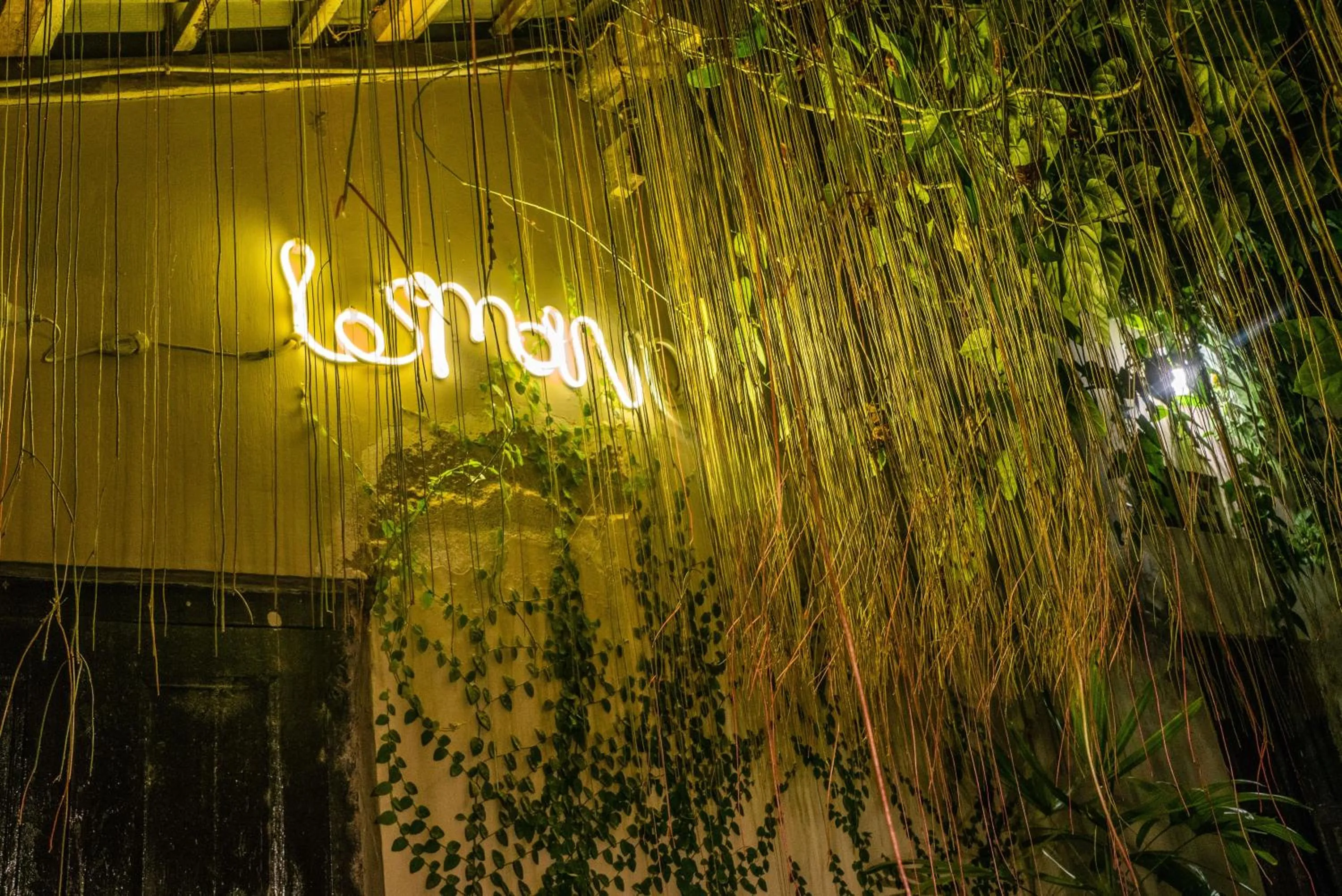 Garden in Losmanos Hostel