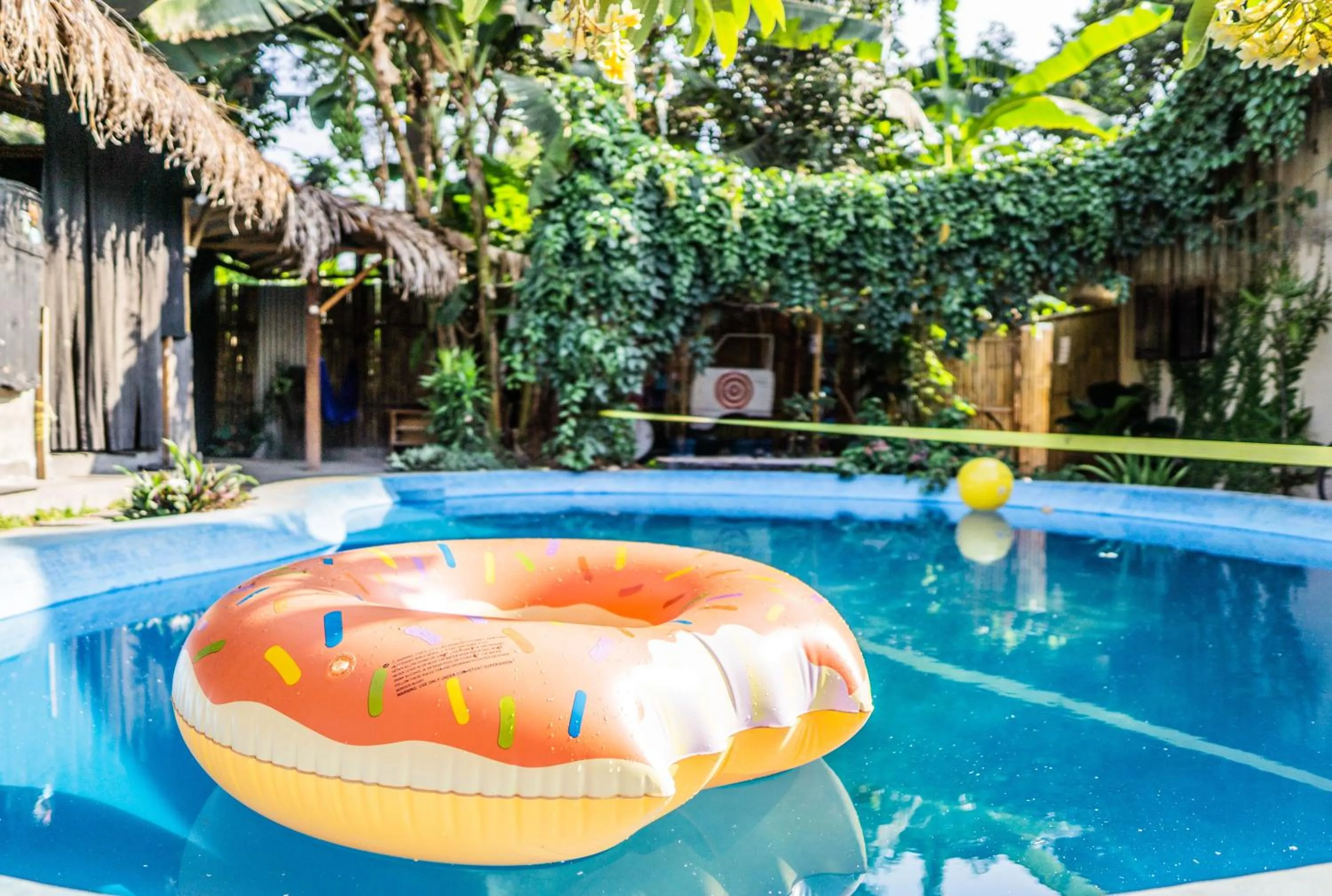 Garden in Losmanos Hostel