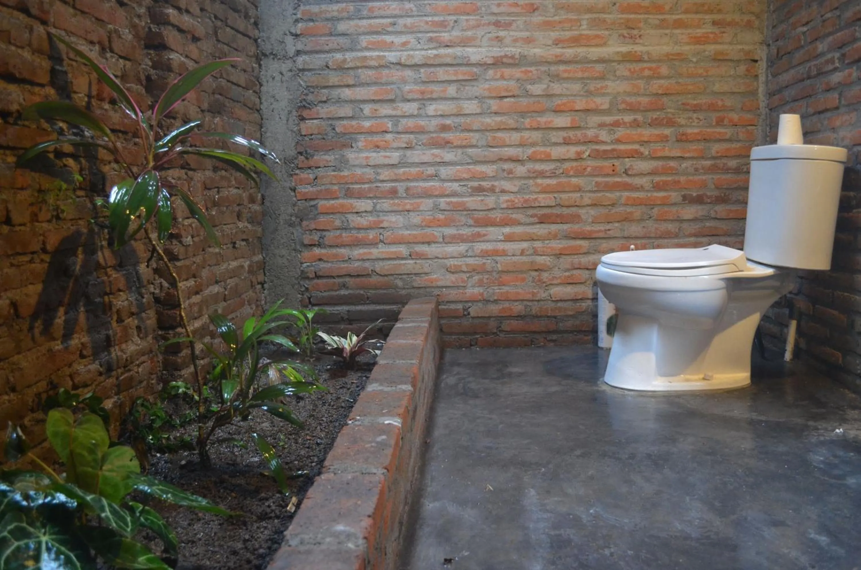 Toilet in Losmanos Hostel