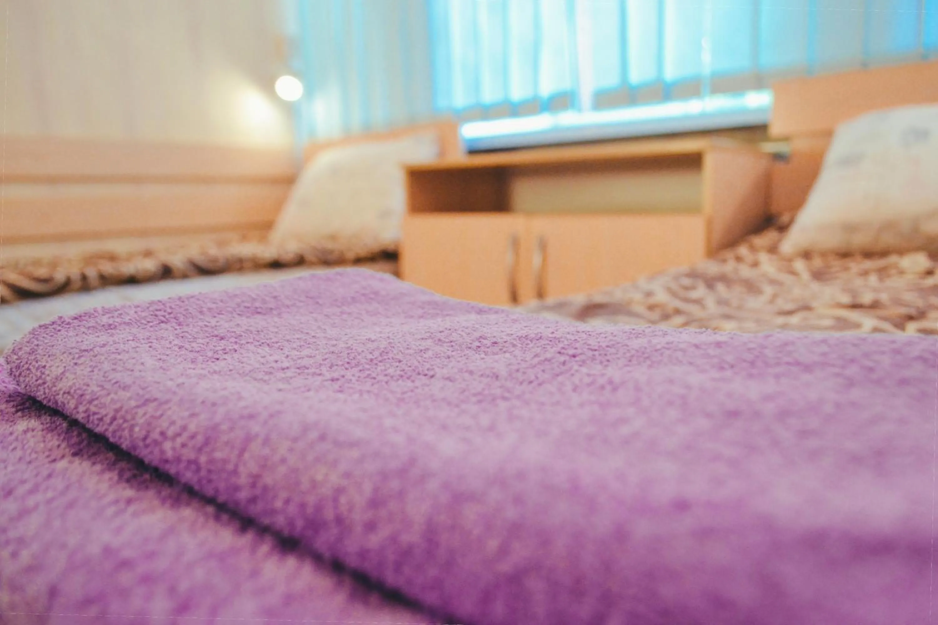 Vishnya Hostel