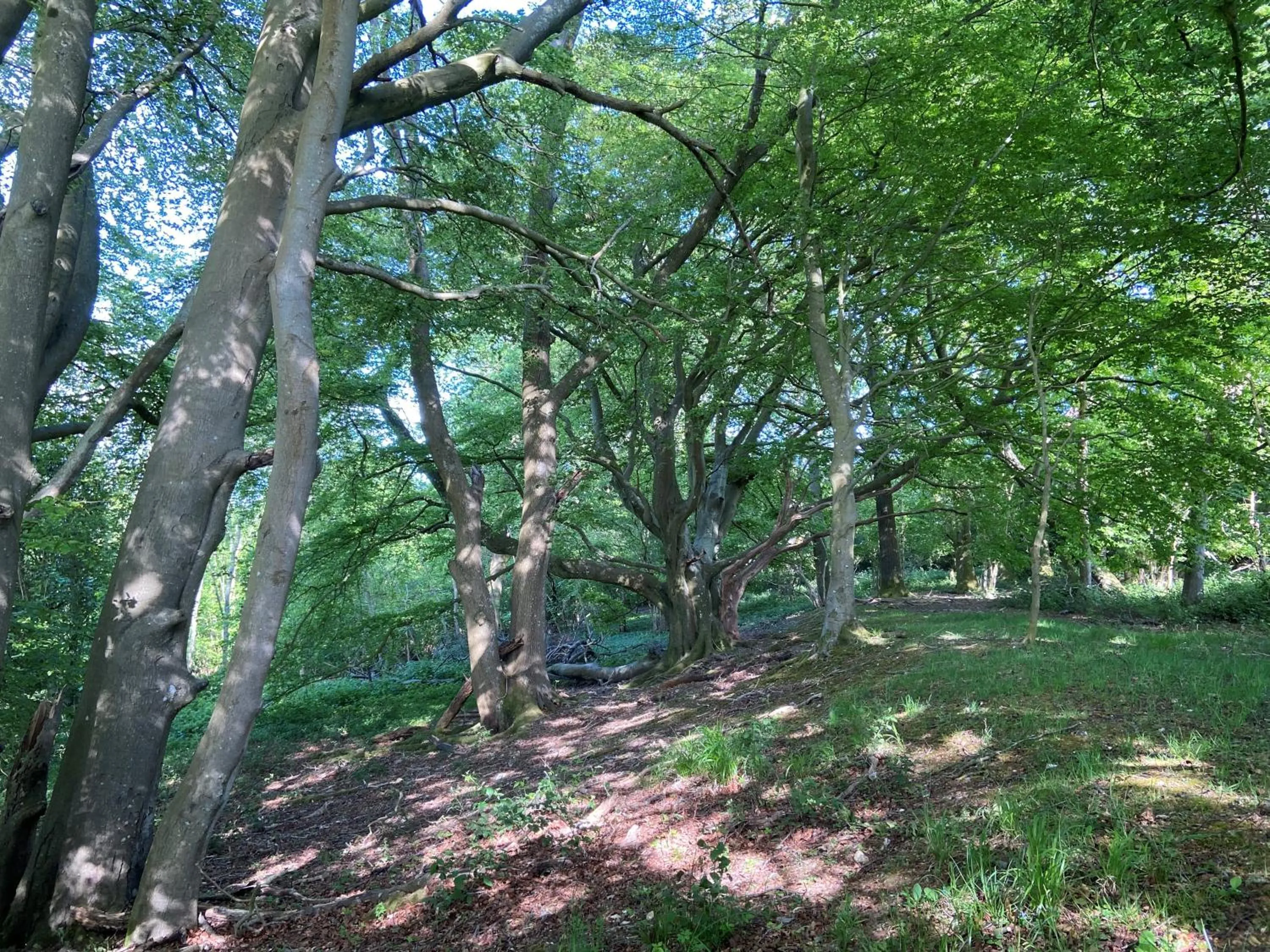 Neighbourhood in 5 Charlton Mill Way B&B