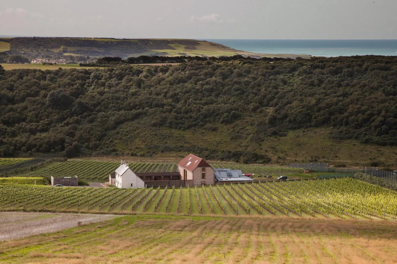 Flint Barns, Rathfinny Wine Estate