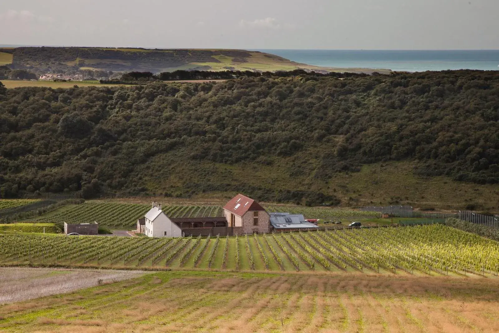 Flint Barns, Rathfinny Wine Estate Flint Barns, Rathfinny Wine Estate