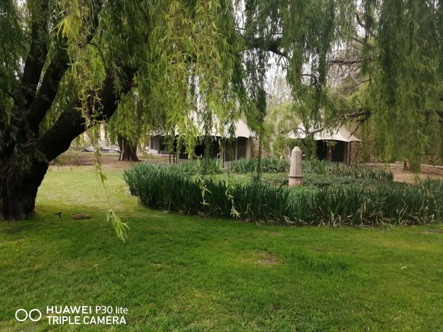 Natural landscape in Willow Banks Lodge