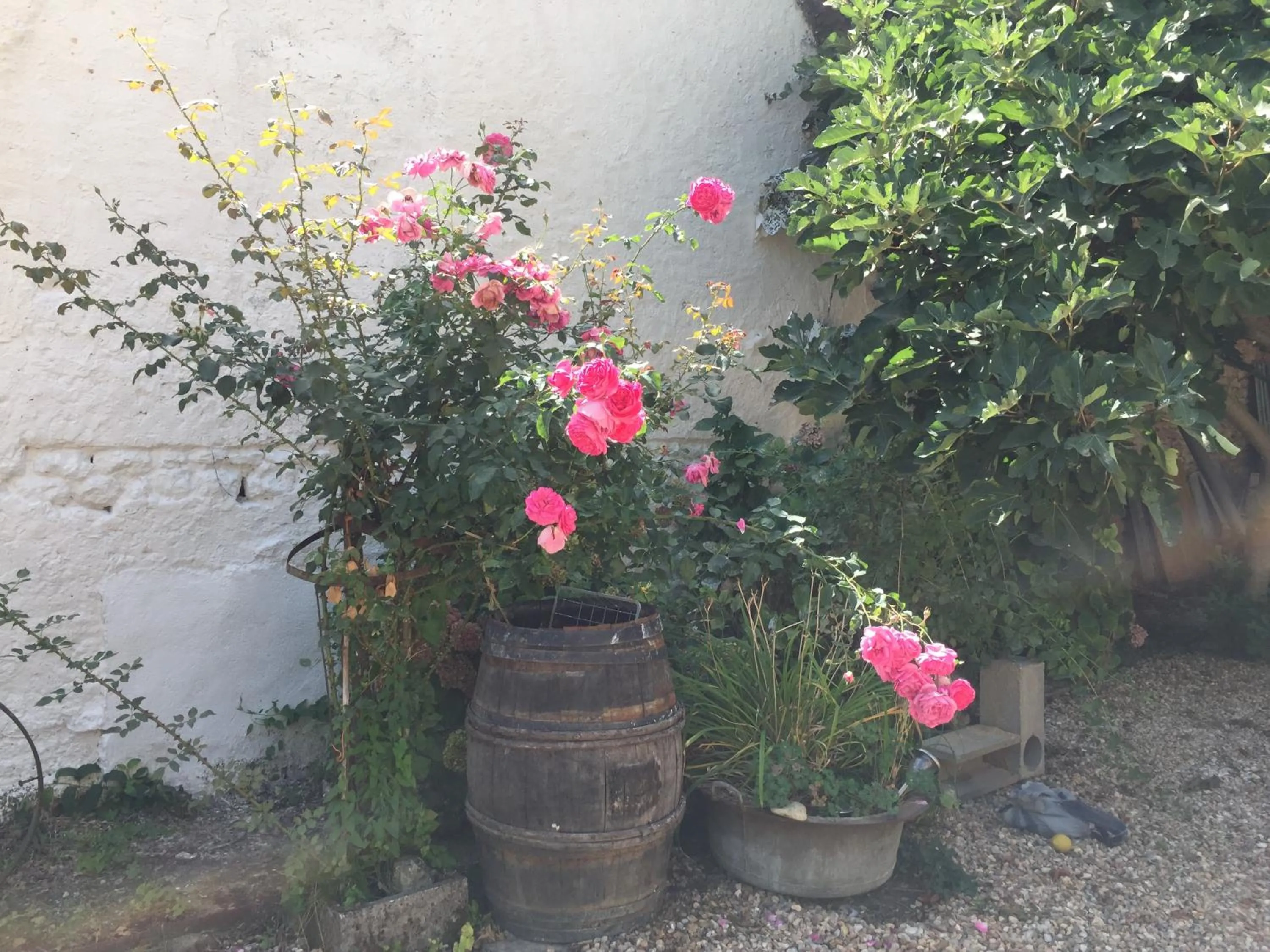 Garden view in Aux Caprices des Dieux