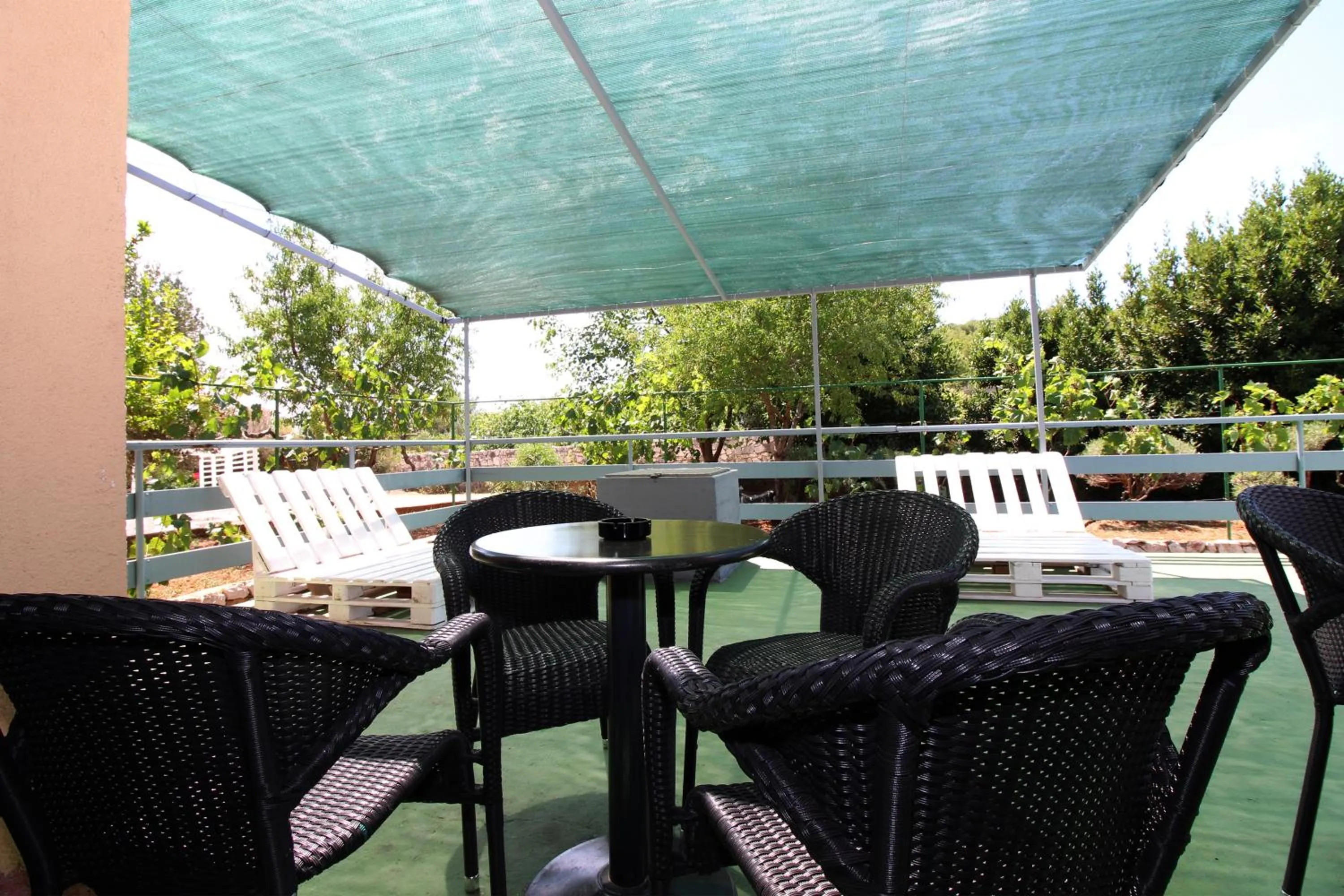 Garden in Hostel Marko