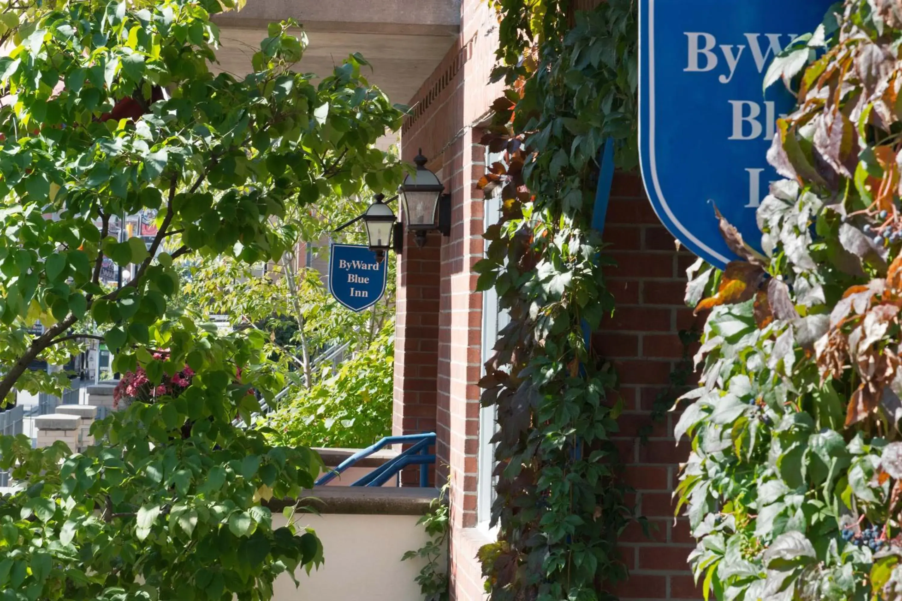 Bird's eye view in ByWard Blue Inn Bird's eye view in ByWard Blue Inn