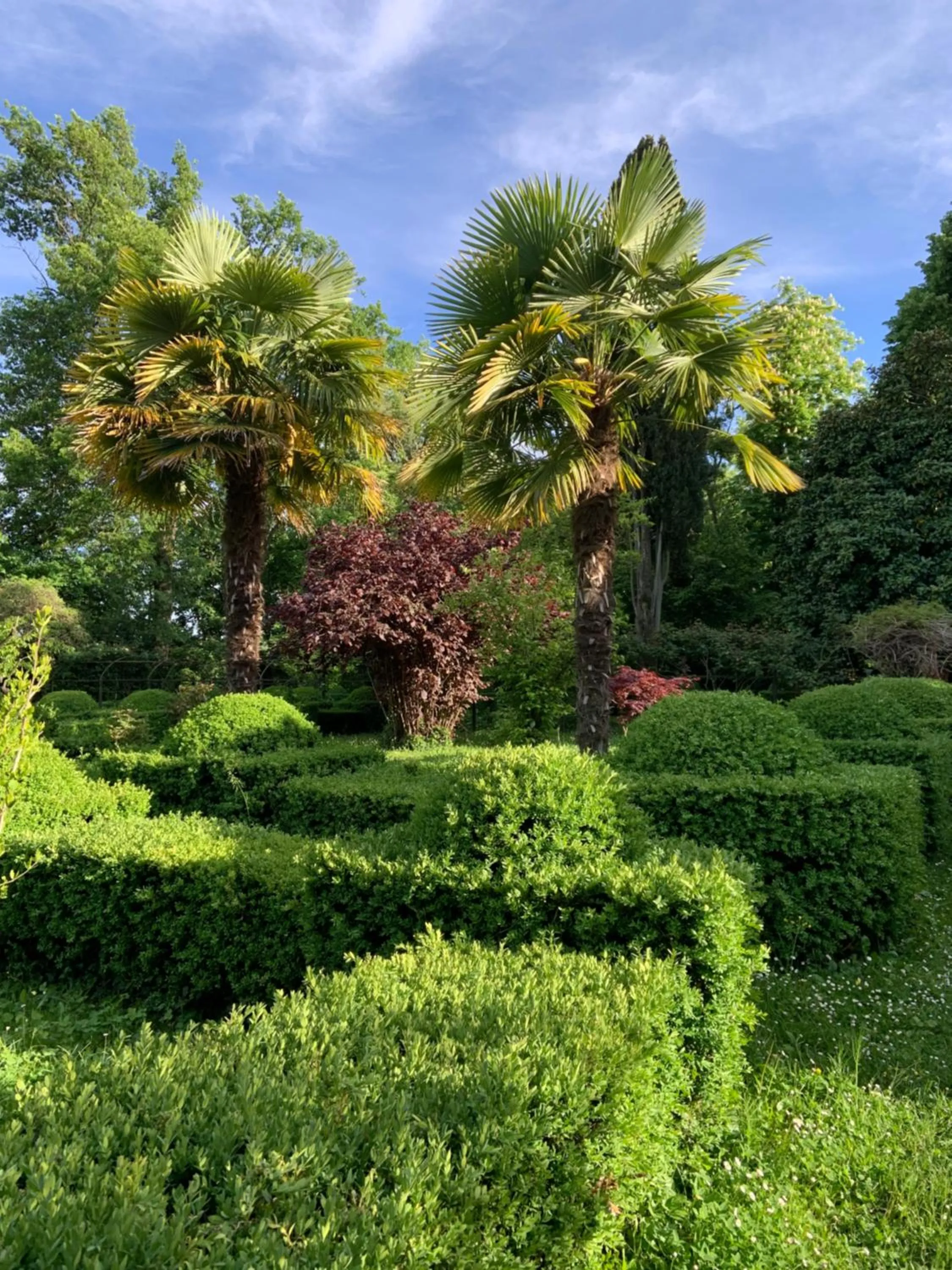 Garden in Le dimore de Il borgo del balsamico