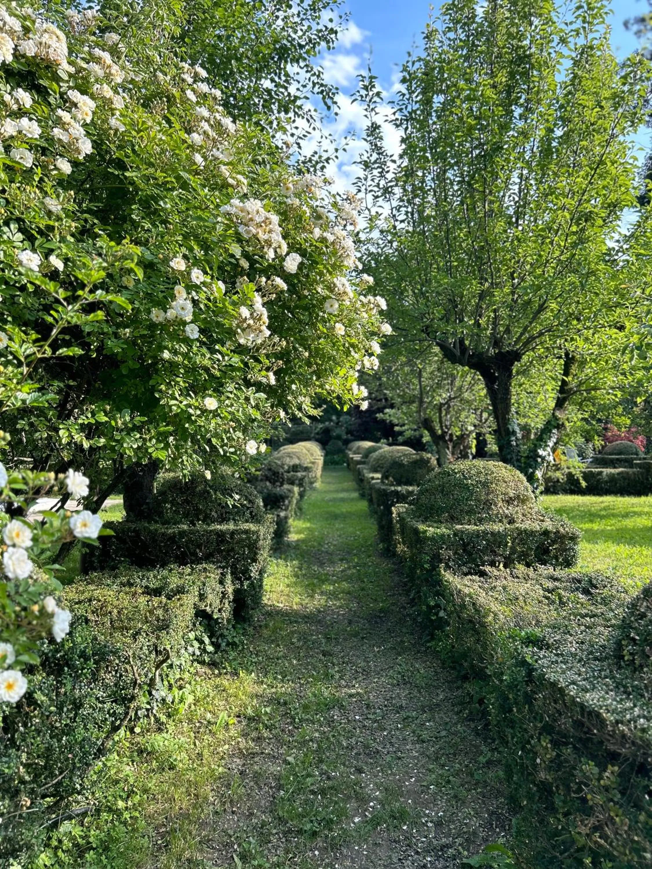 Garden in Le dimore de Il borgo del balsamico