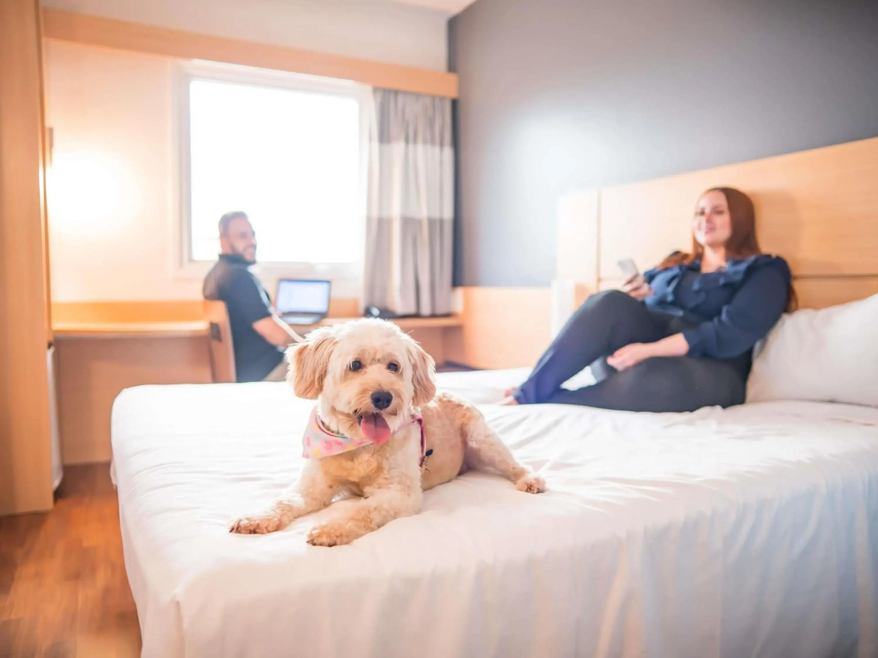 Bedroom, Bed in ibis Itu Plaza Shopping Bedroom, Bed in ibis Itu Plaza Shopping