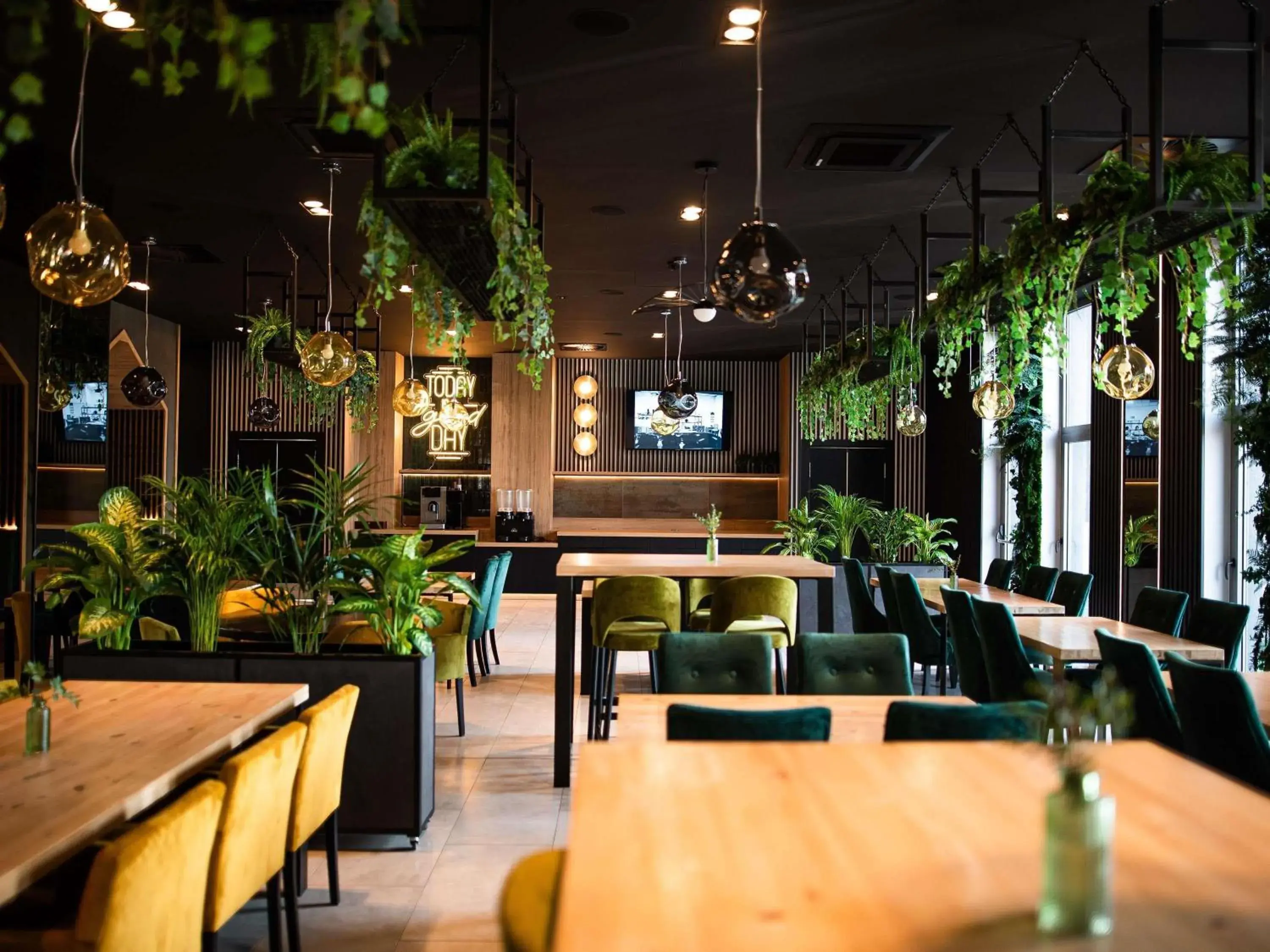 Lounge or bar in ibis styles Grudziadz Lounge or bar in ibis styles Grudziadz