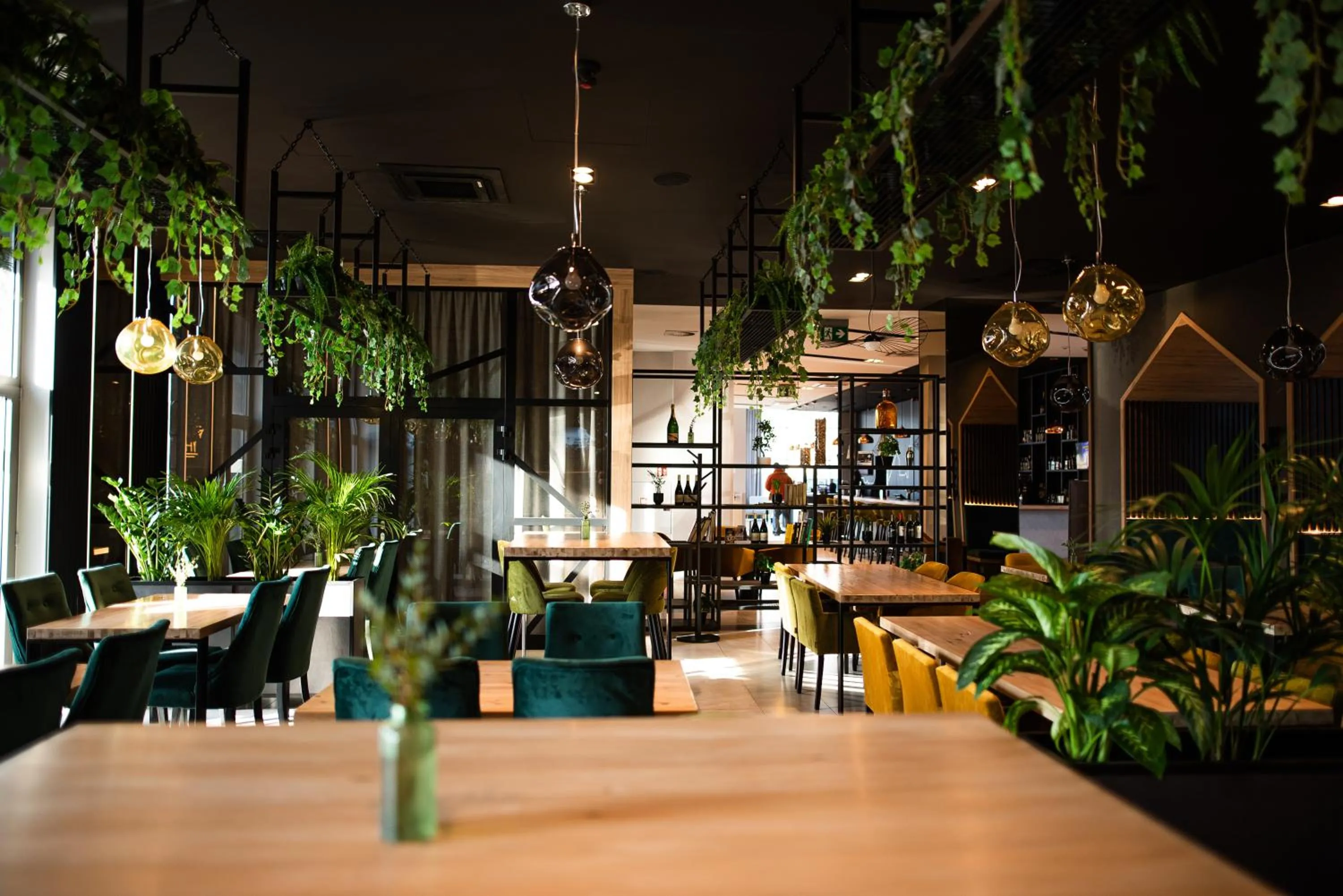 ibis styles Grudziadz