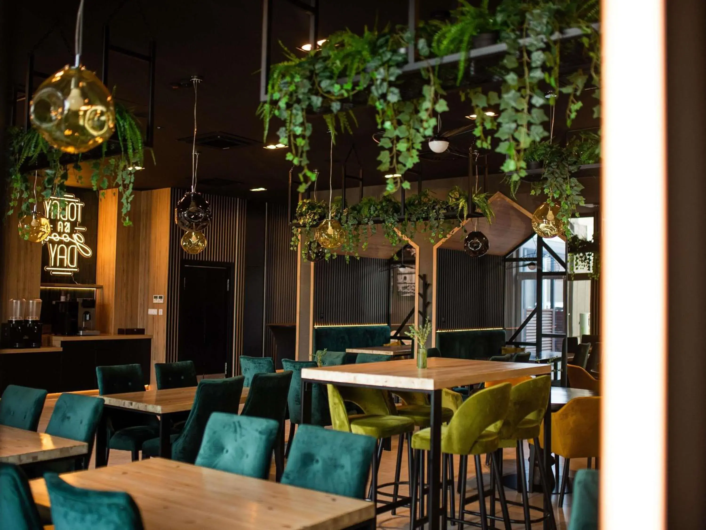 Restaurant/places to eat in ibis styles Grudziadz Restaurant/places to eat in ibis styles Grudziadz