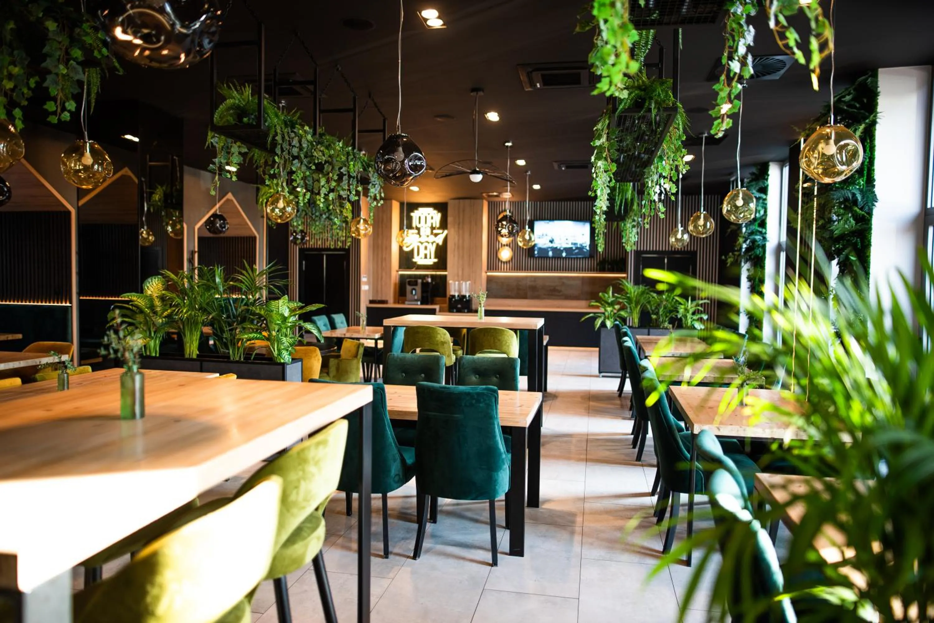 ibis styles Grudziadz