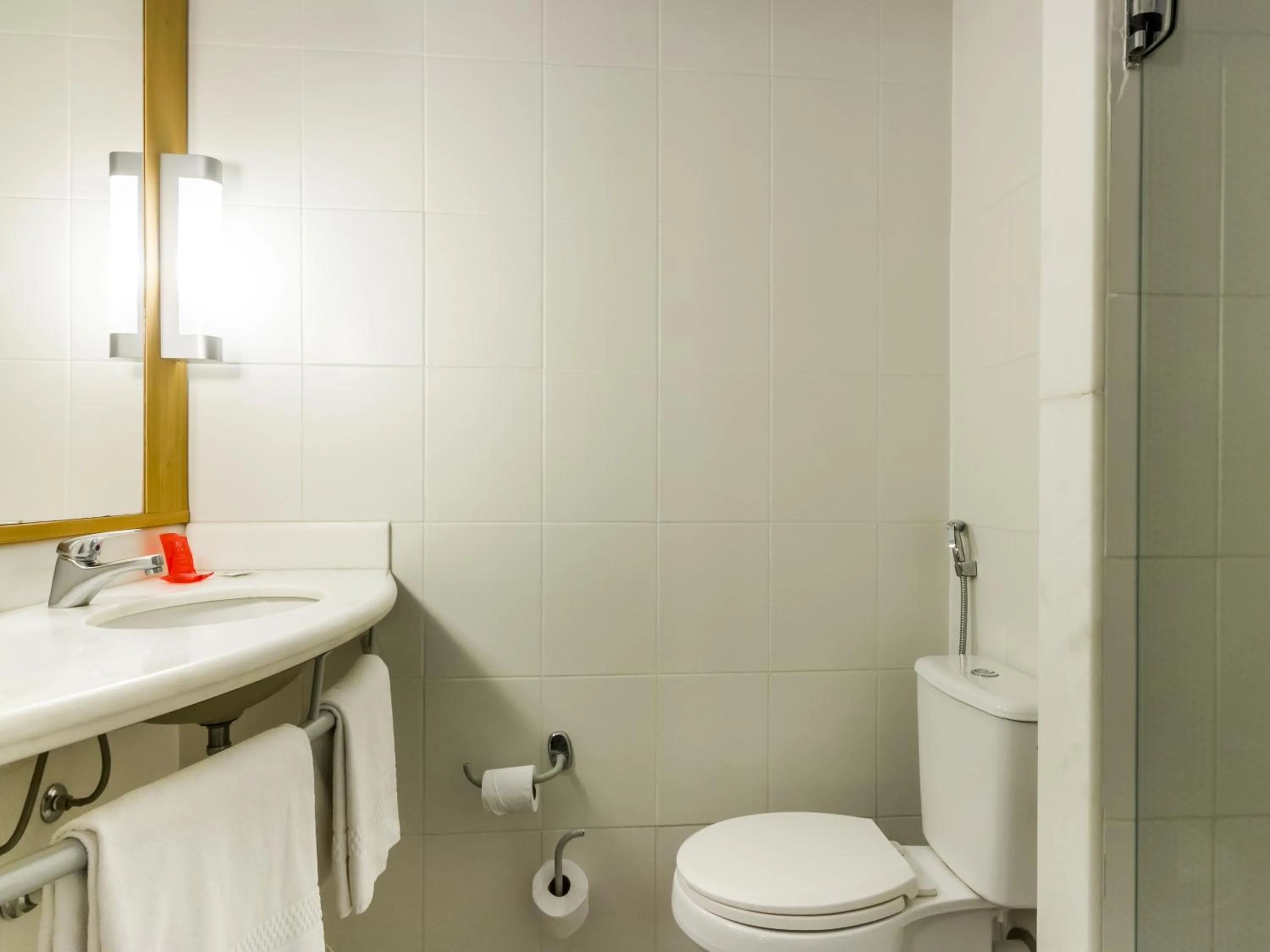 Bathroom in ibis Jaboticabal