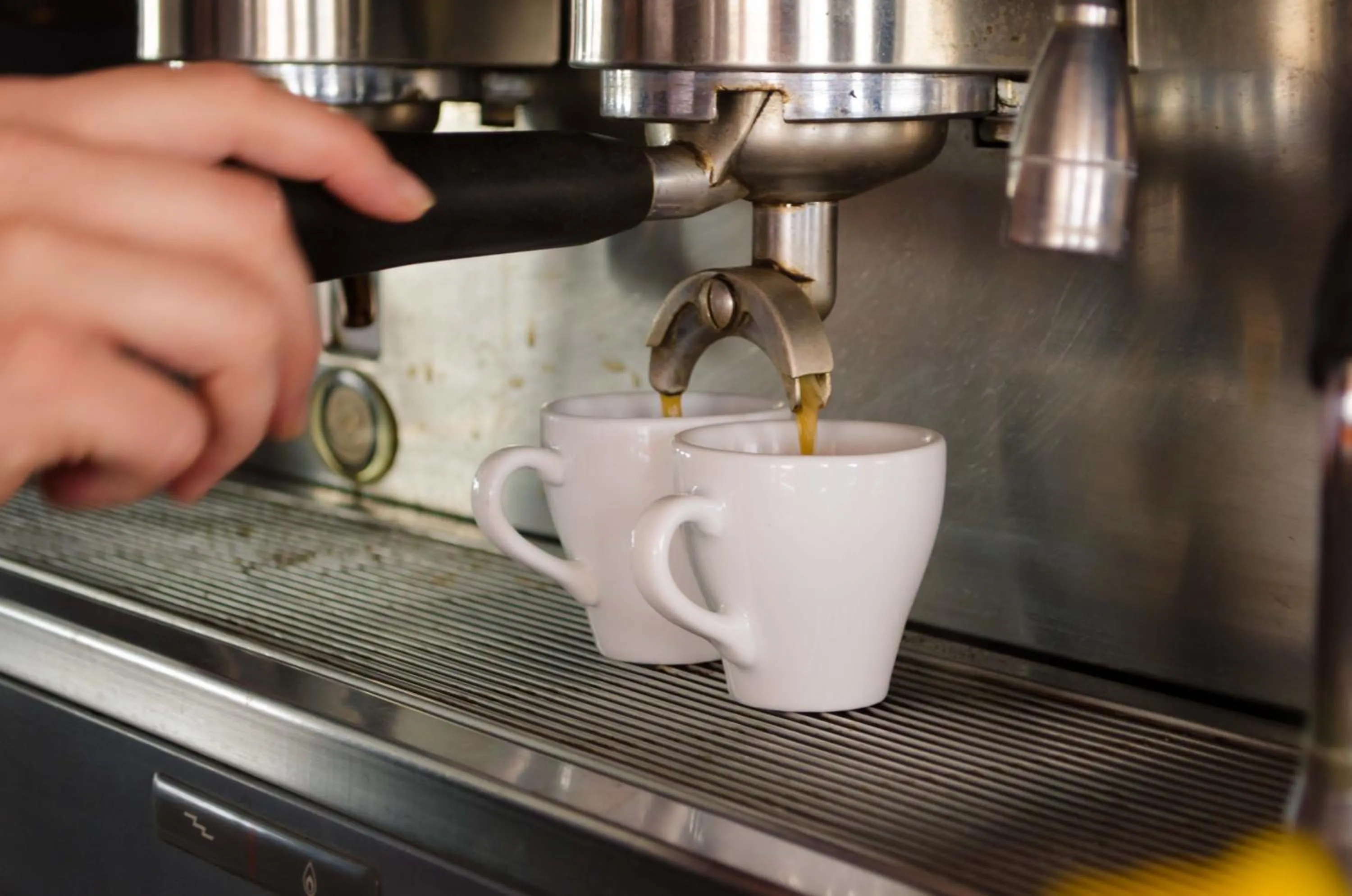 Lounge or bar in Hotel Angelino