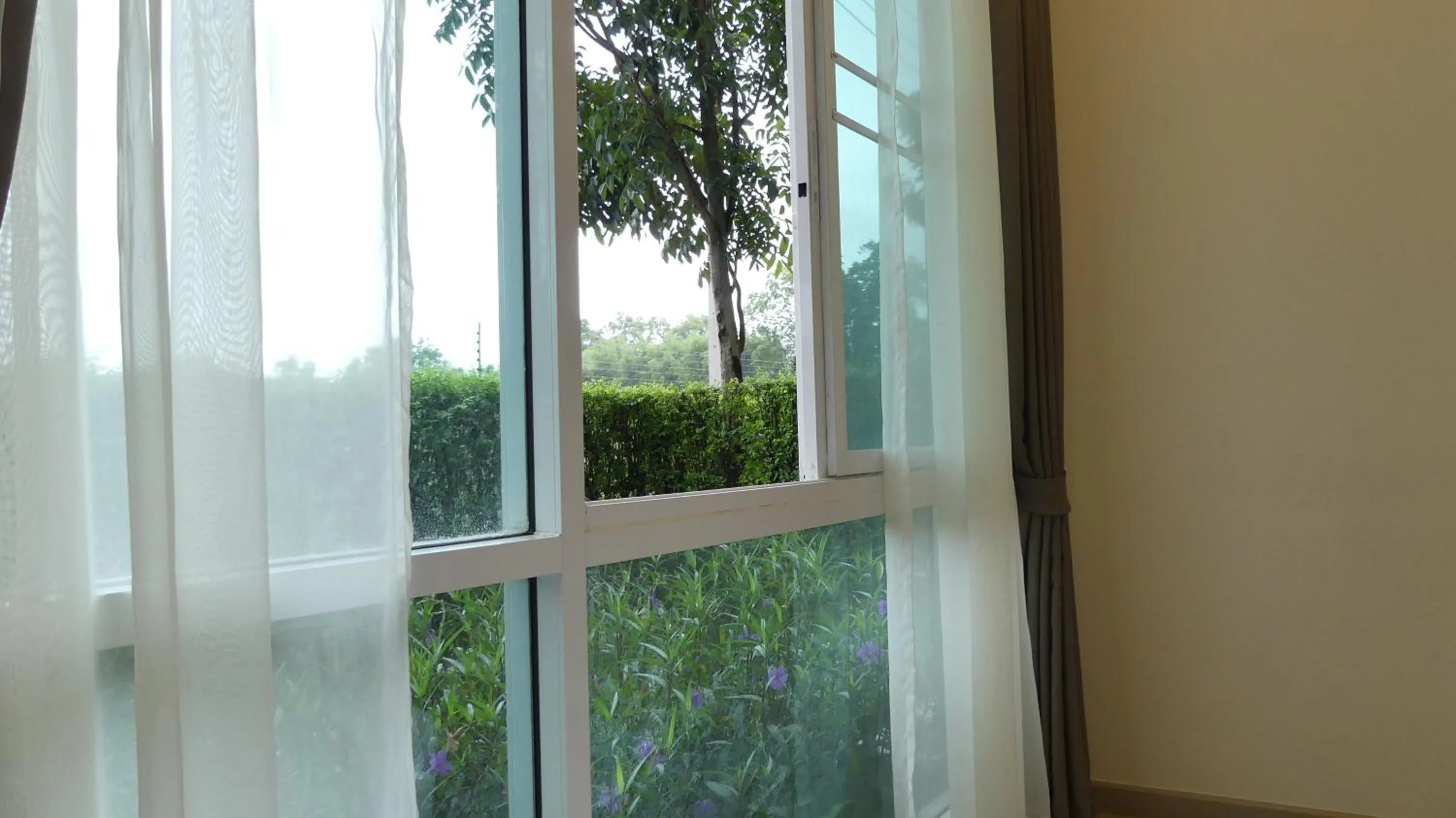 Garden view in The Garden 304