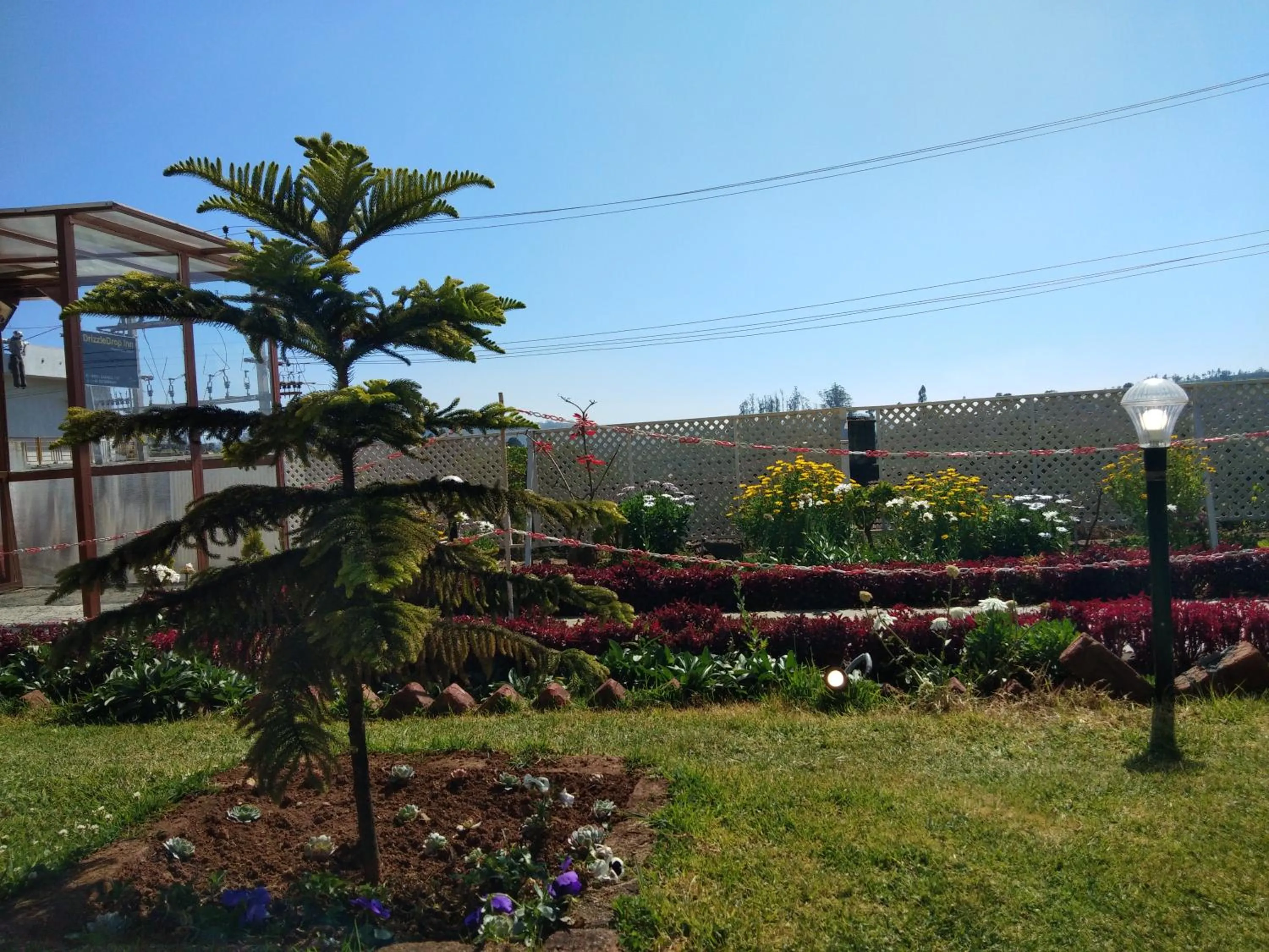 Breakfast in Drizzle Drop Inn