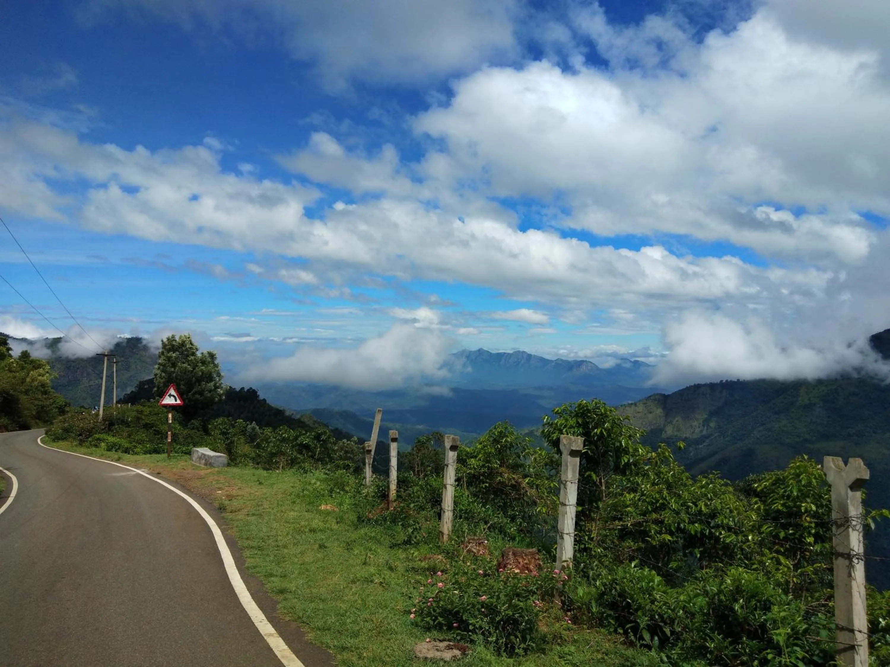Breakfast in Drizzle Drop Inn