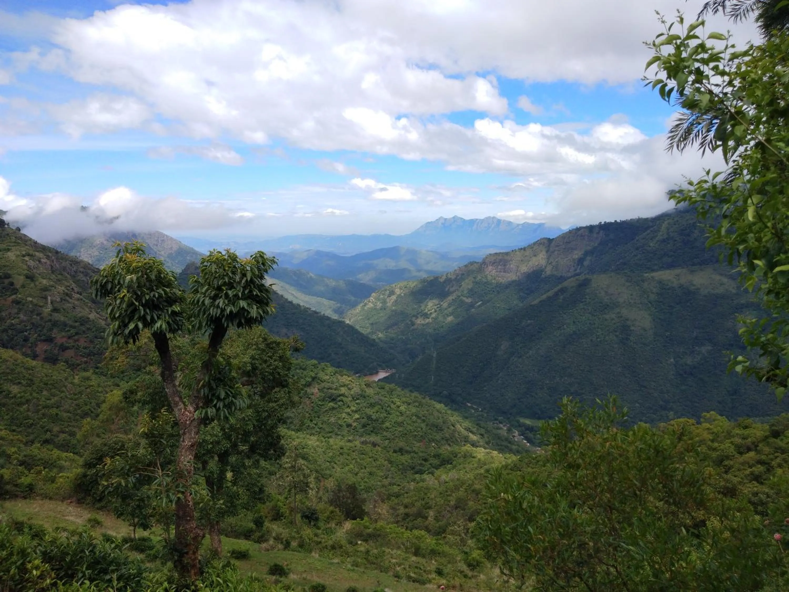 Breakfast in Drizzle Drop Inn