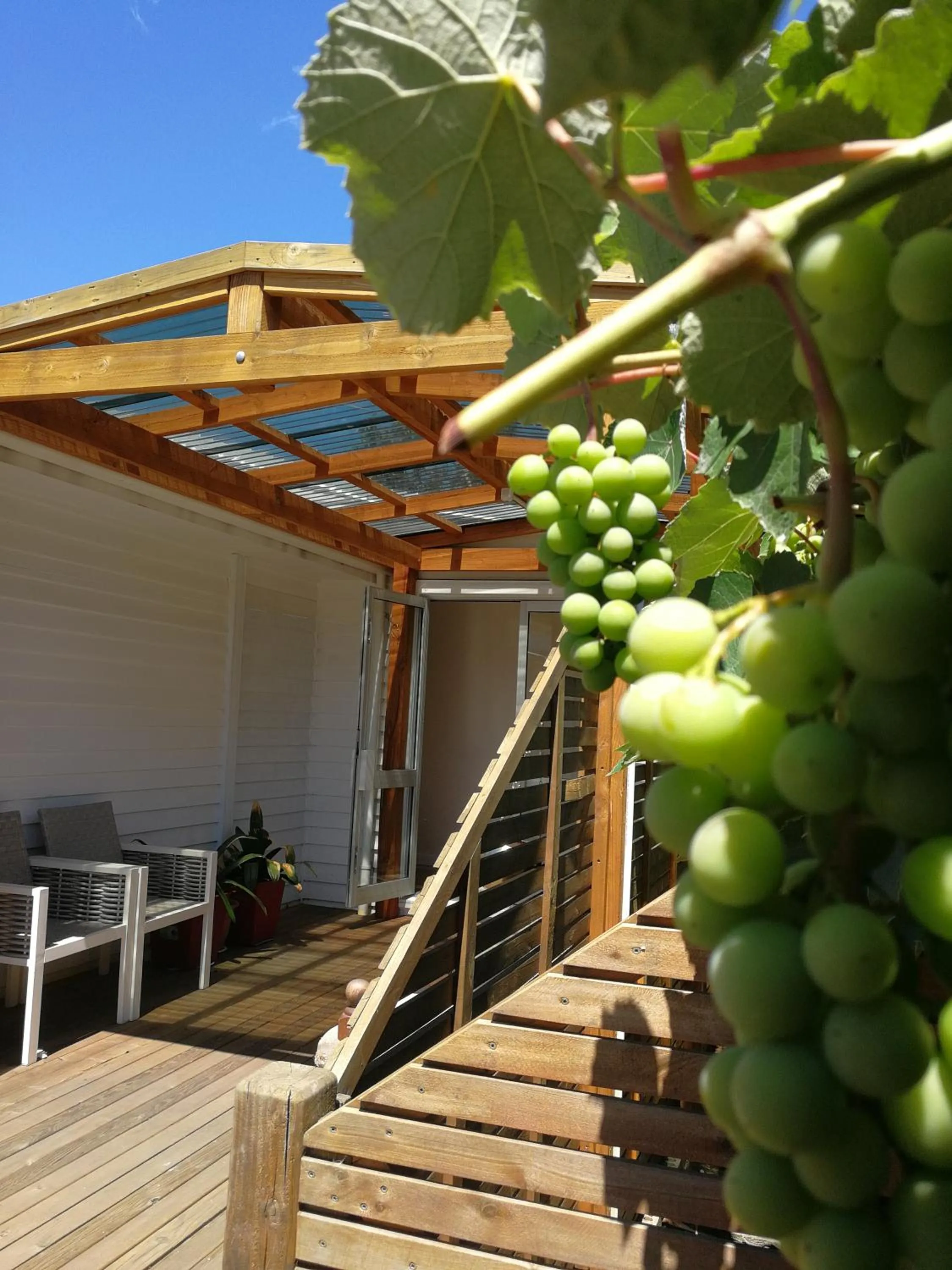 Patio in Oxford Queenette Backpackers