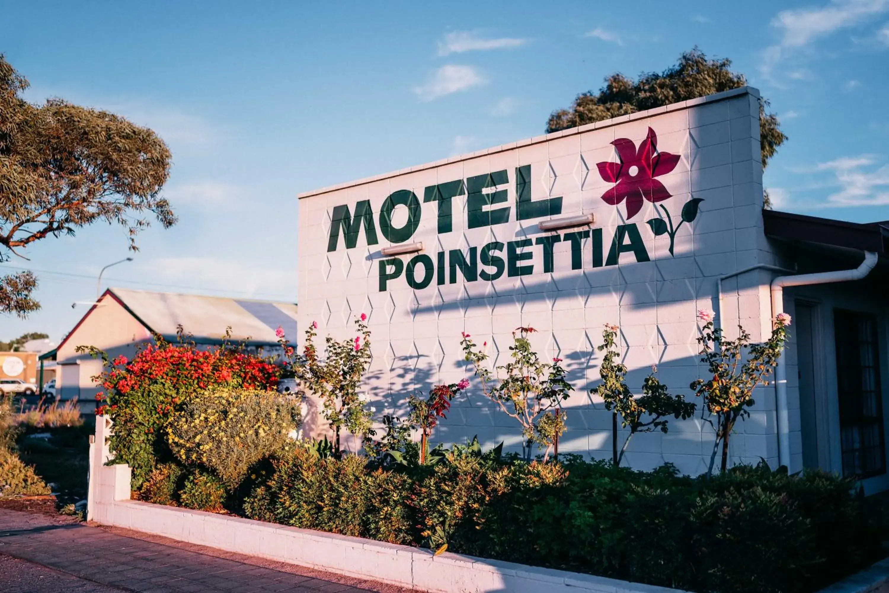 Motel Poinsettia Motel Poinsettia