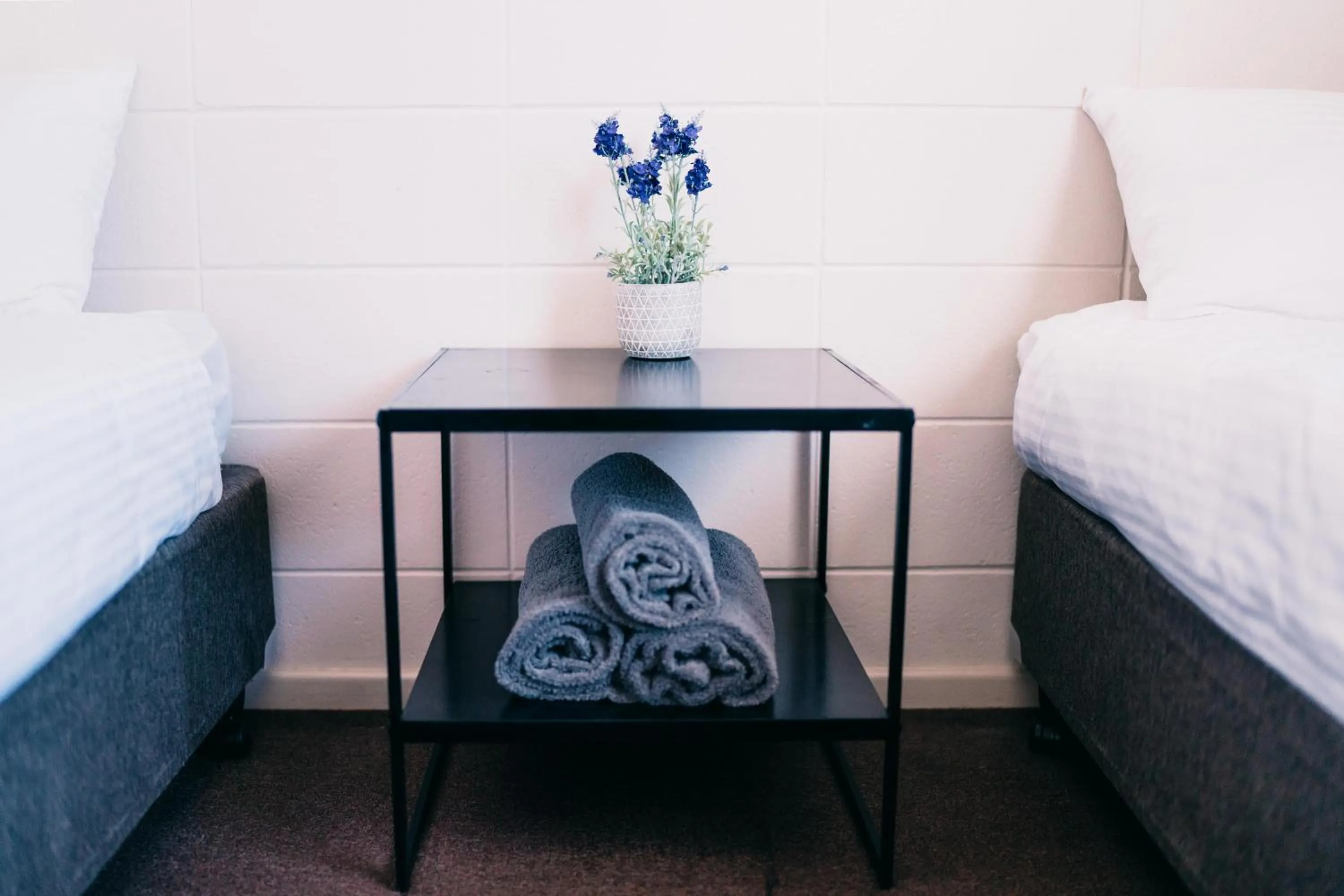 Bed in Motel Poinsettia