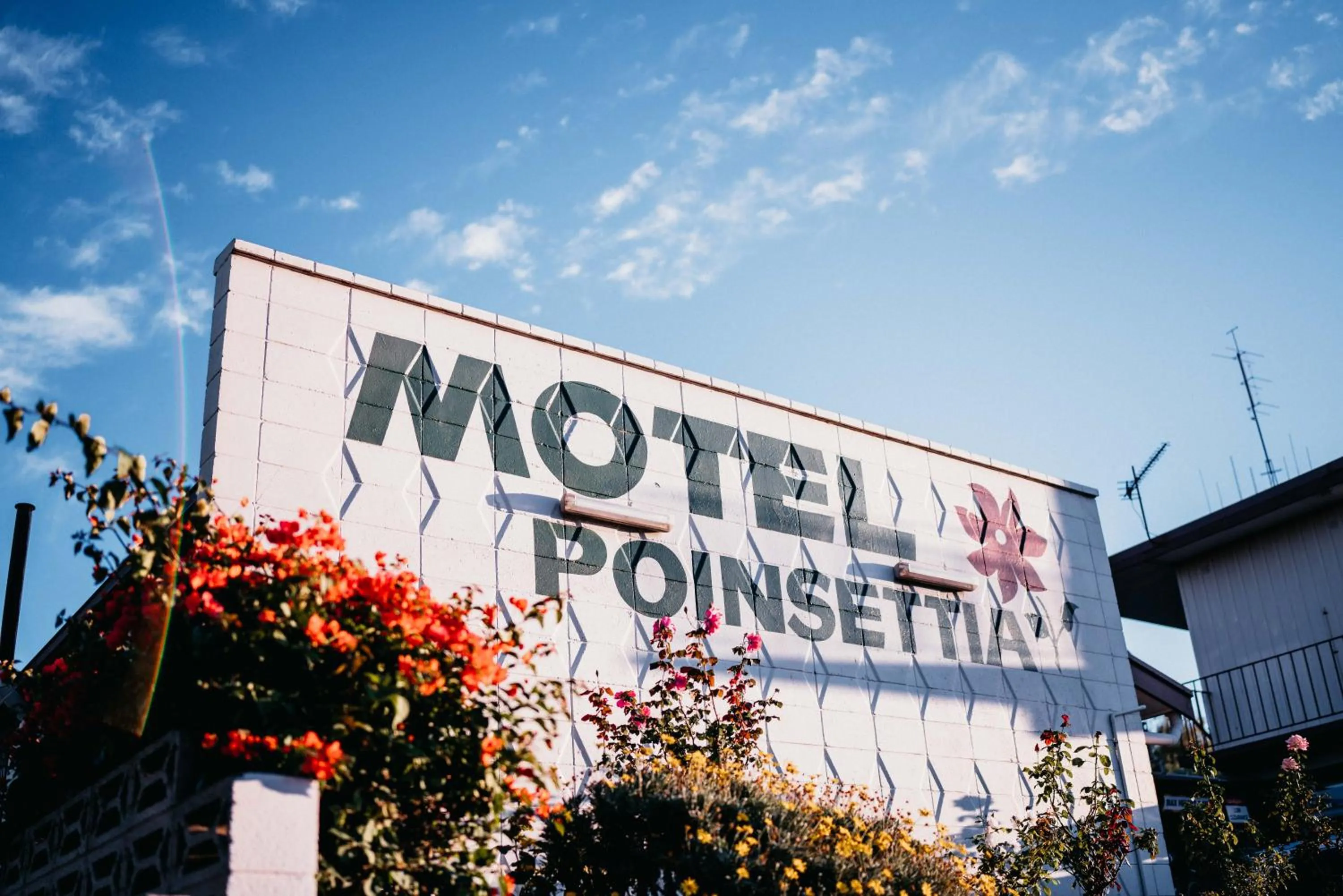 Property logo or sign in Motel Poinsettia
