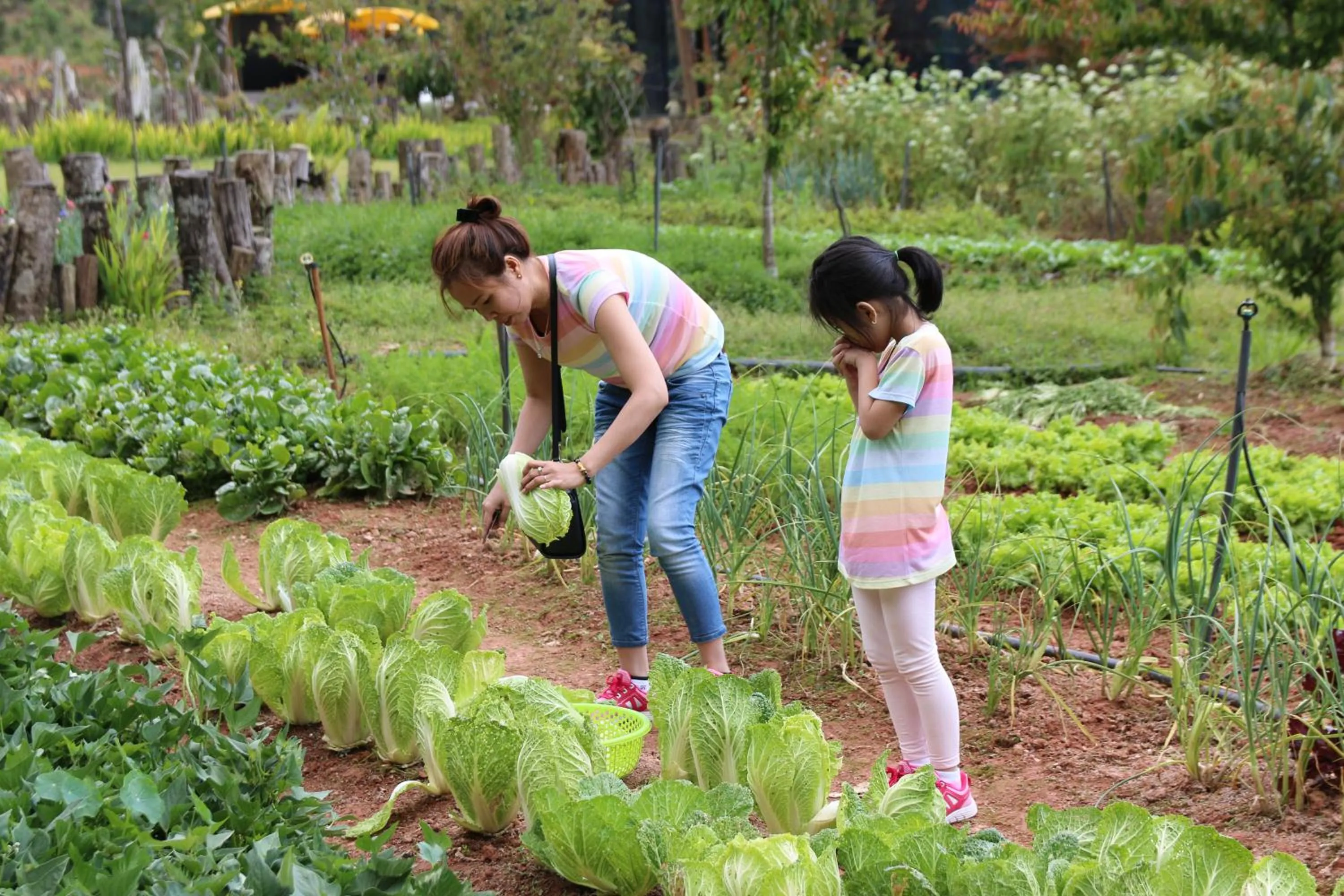 LAAN Retreat-DaLat